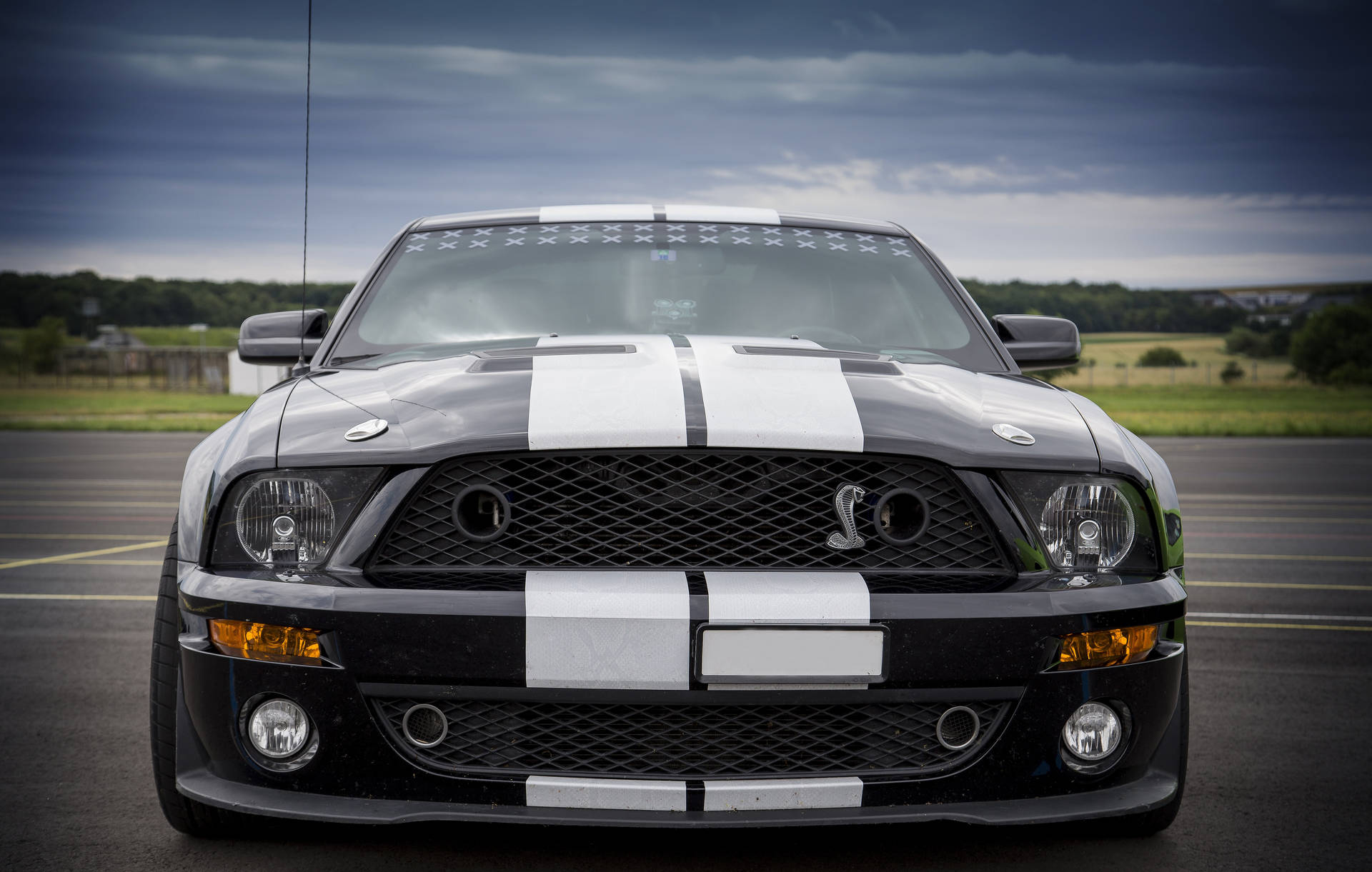 Chromed Cobra Ford Shelby Mustang