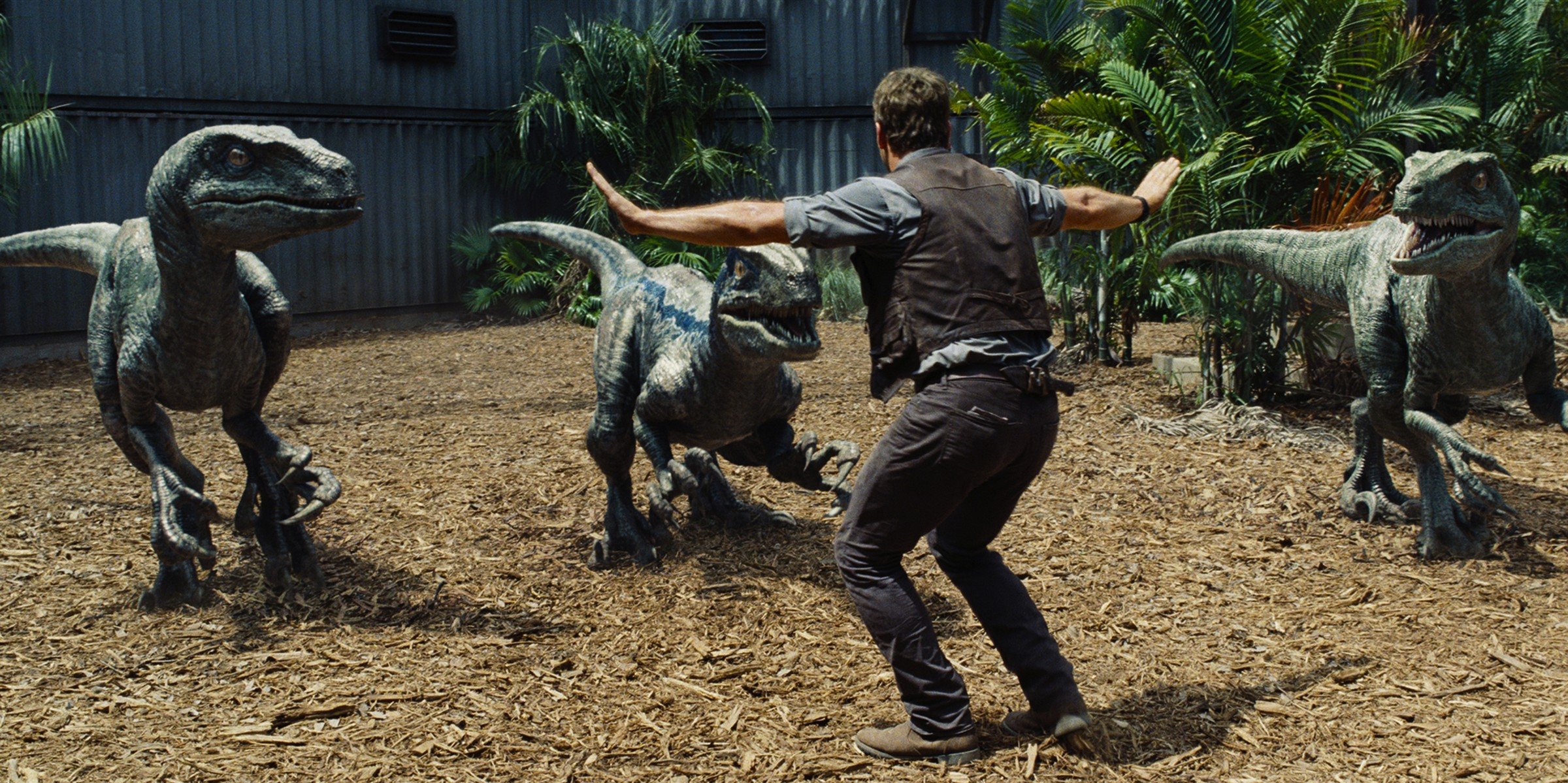 Jurassic World HD: Raptor Training