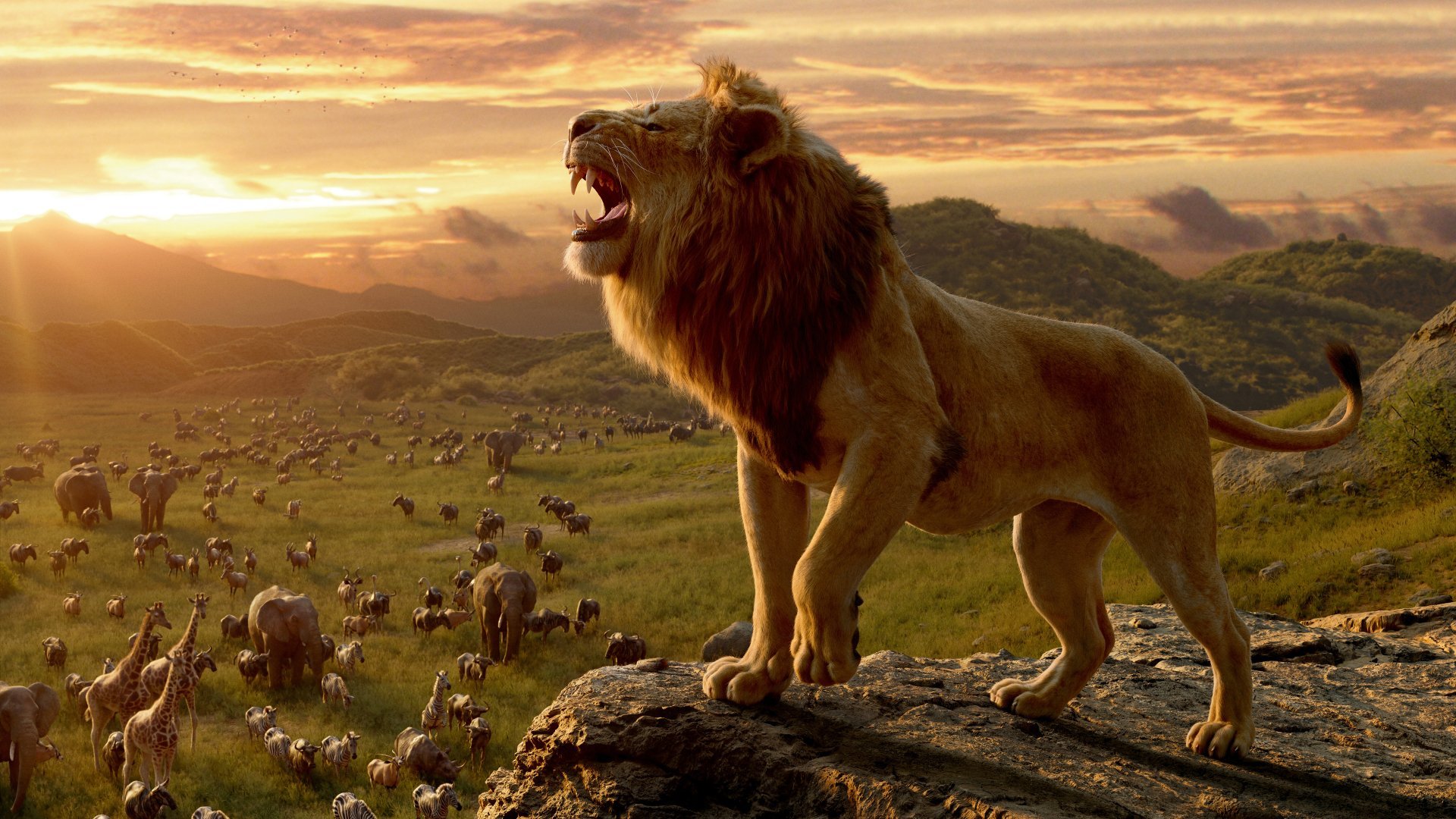 Download Mufasa (The Lion King) Lion