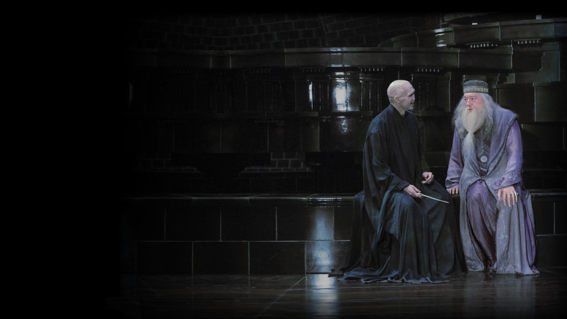 Dumbledore and Voldemort having a nice