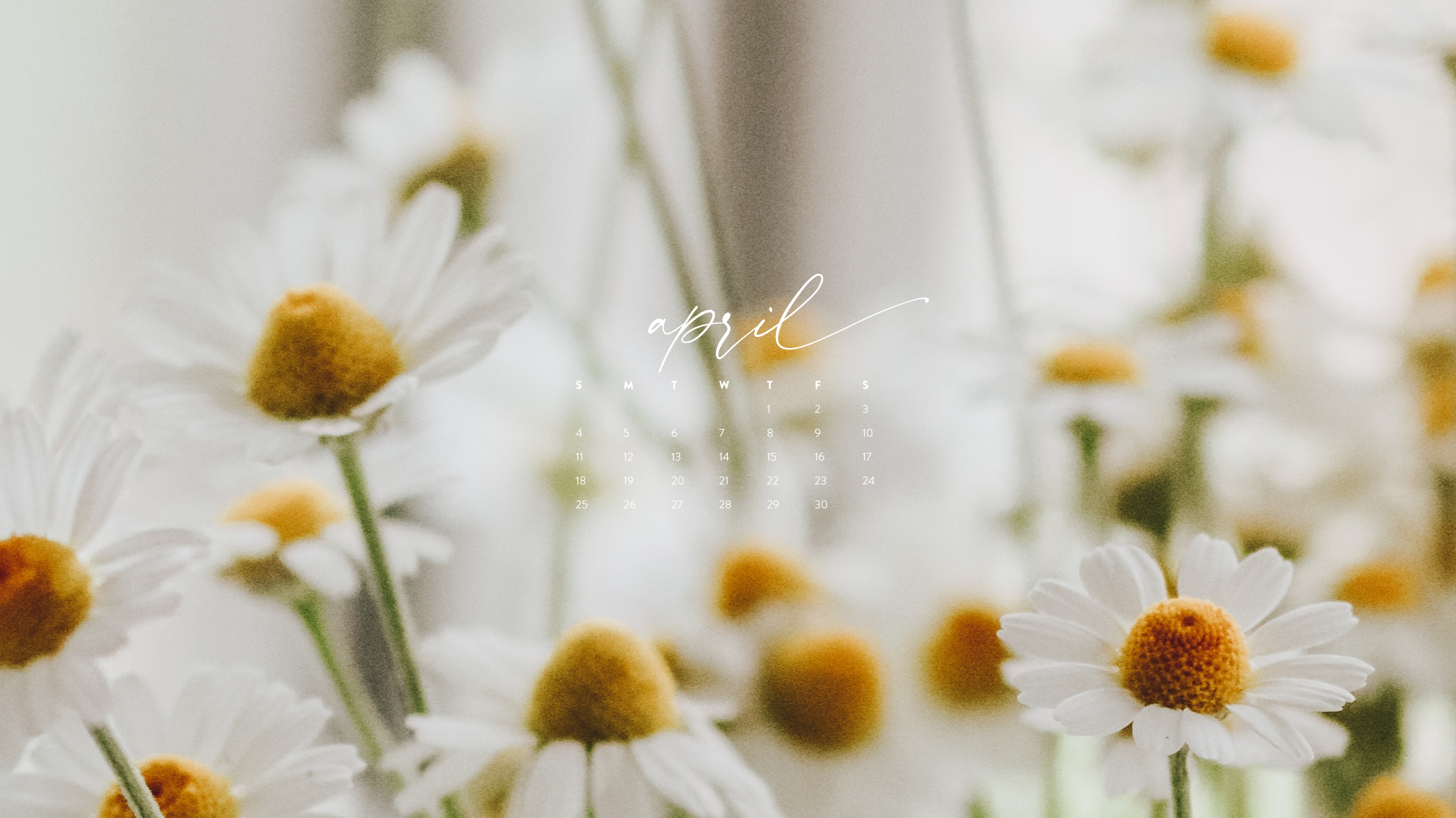 April Background: Free Download