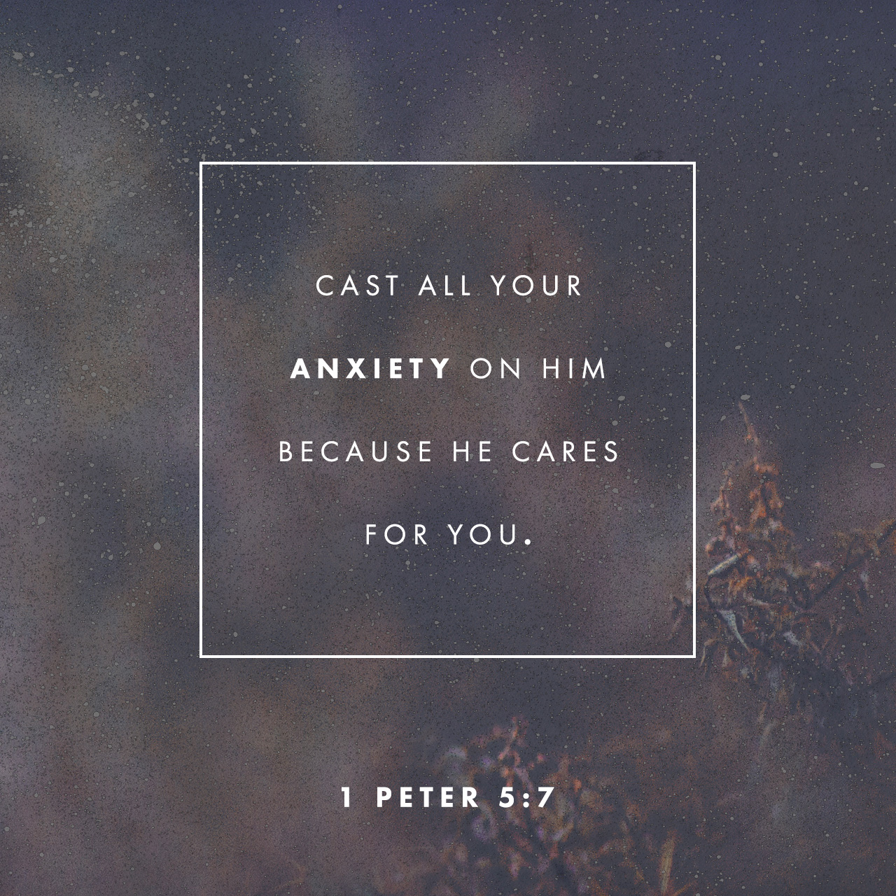 Peter 5:7 Peter 5:7. Free Church