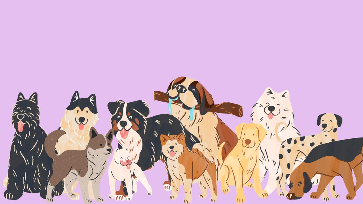 Dog Desktop Wallpaper