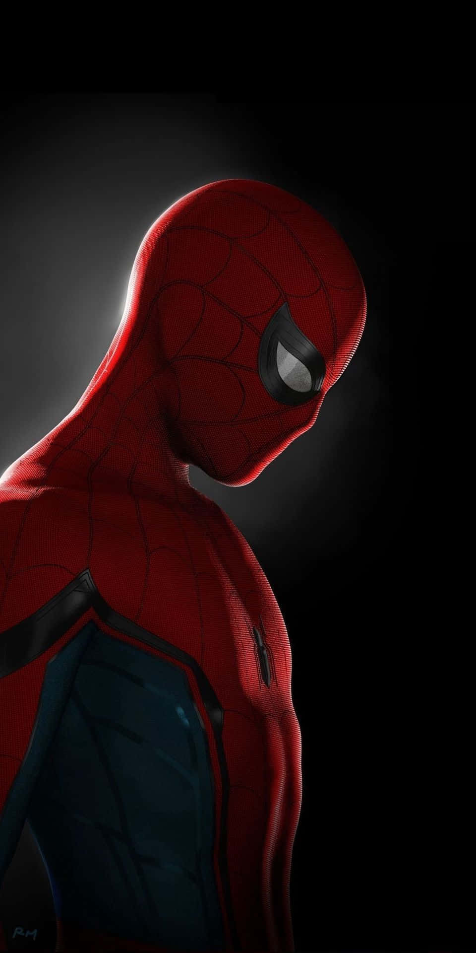 Download Spiderman PFP Phone Wallpaper
