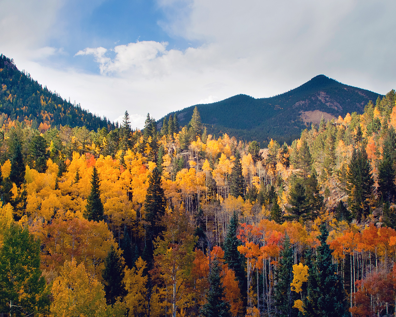 Fall Nature Mountain Wood Forest