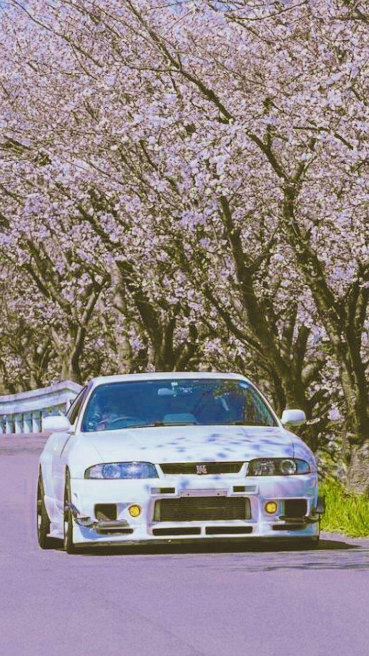 Cherry Blossom