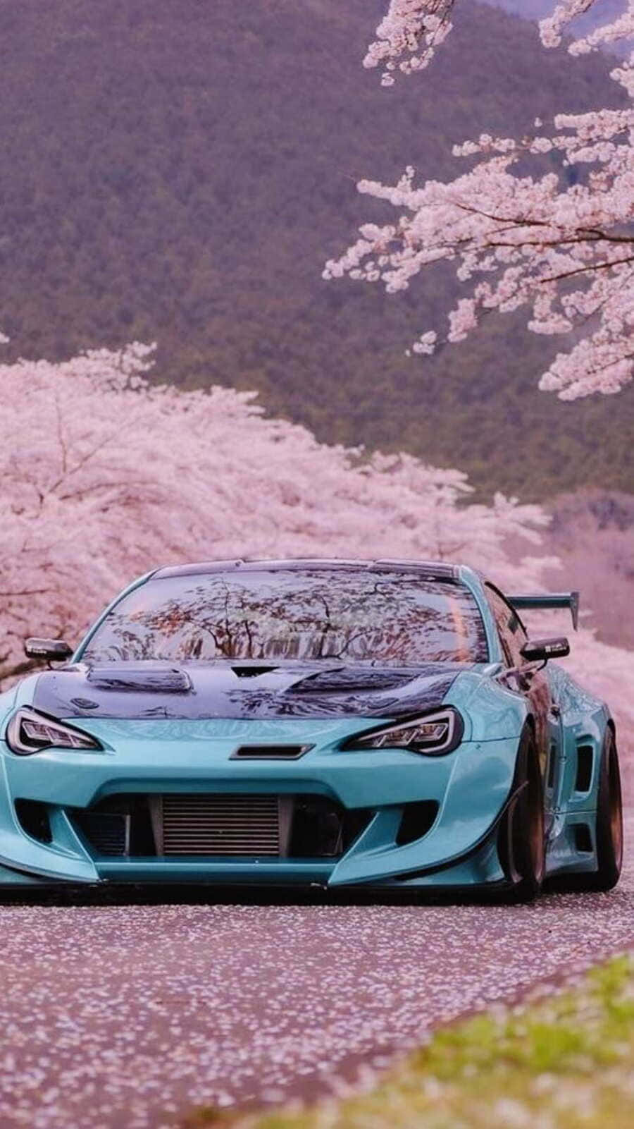 Sports Car Cherry Blossoms Wallpaper