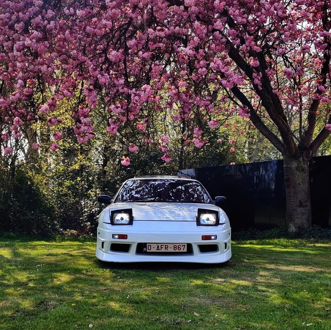 found a cherry blossom tree and thought