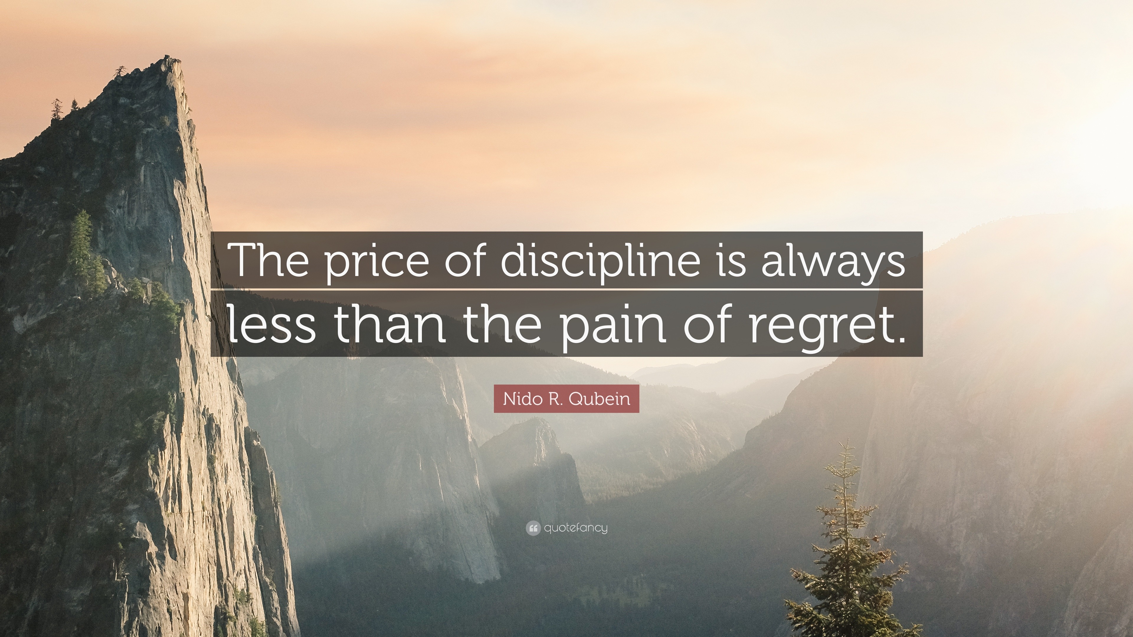 Nido R. Qubein Quote: “The price