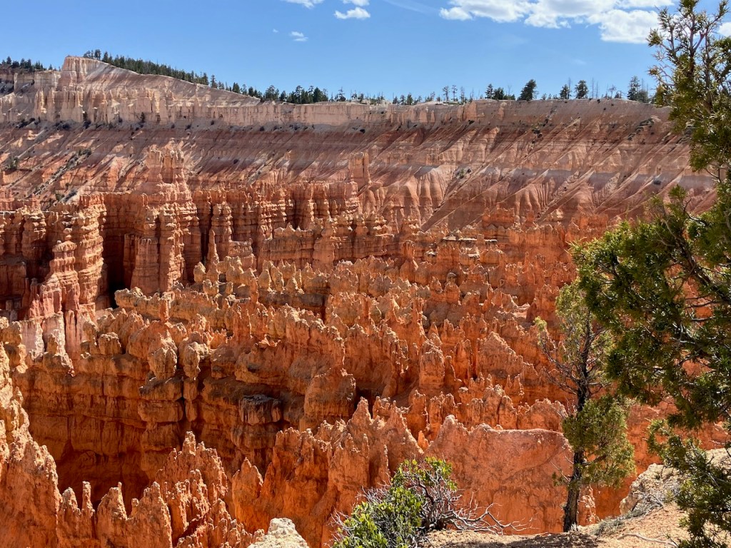 Hoodoo the Voodoo that You do?