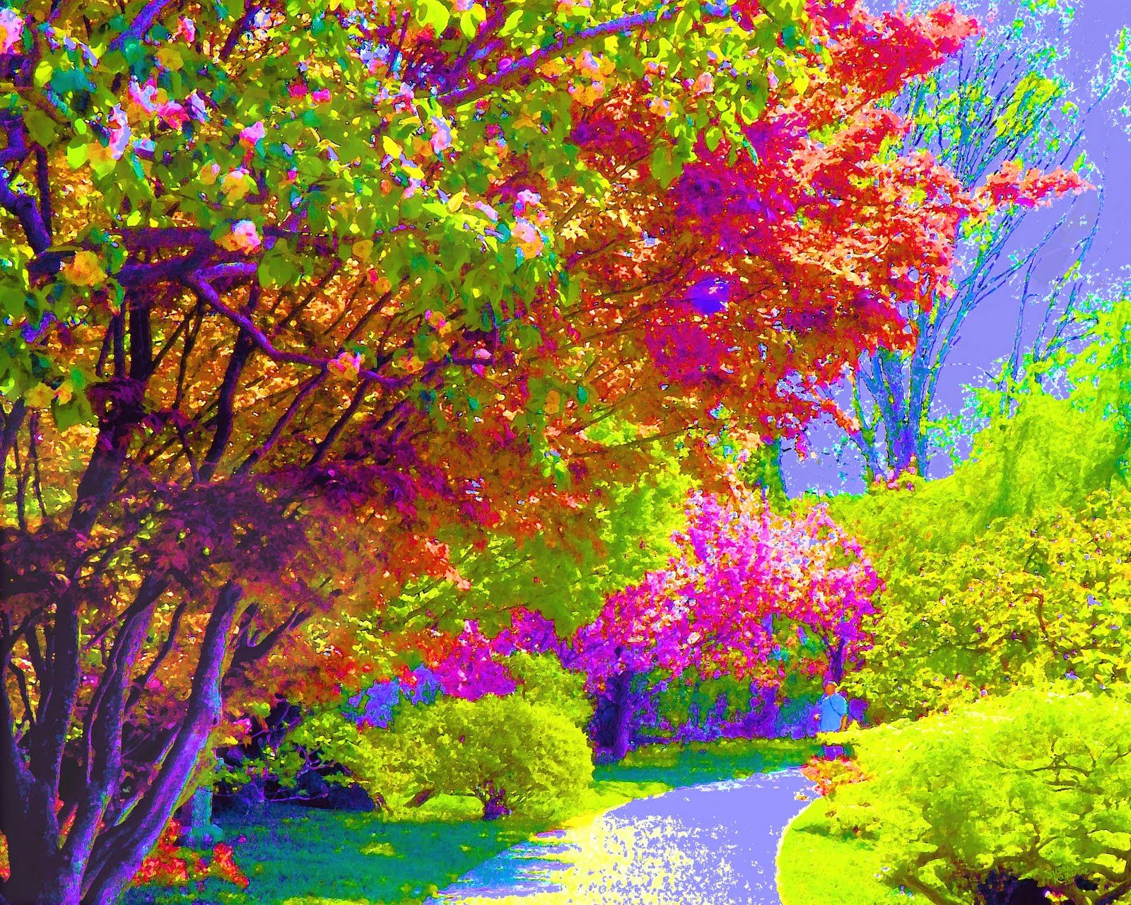 Colorful Trees Painting Background