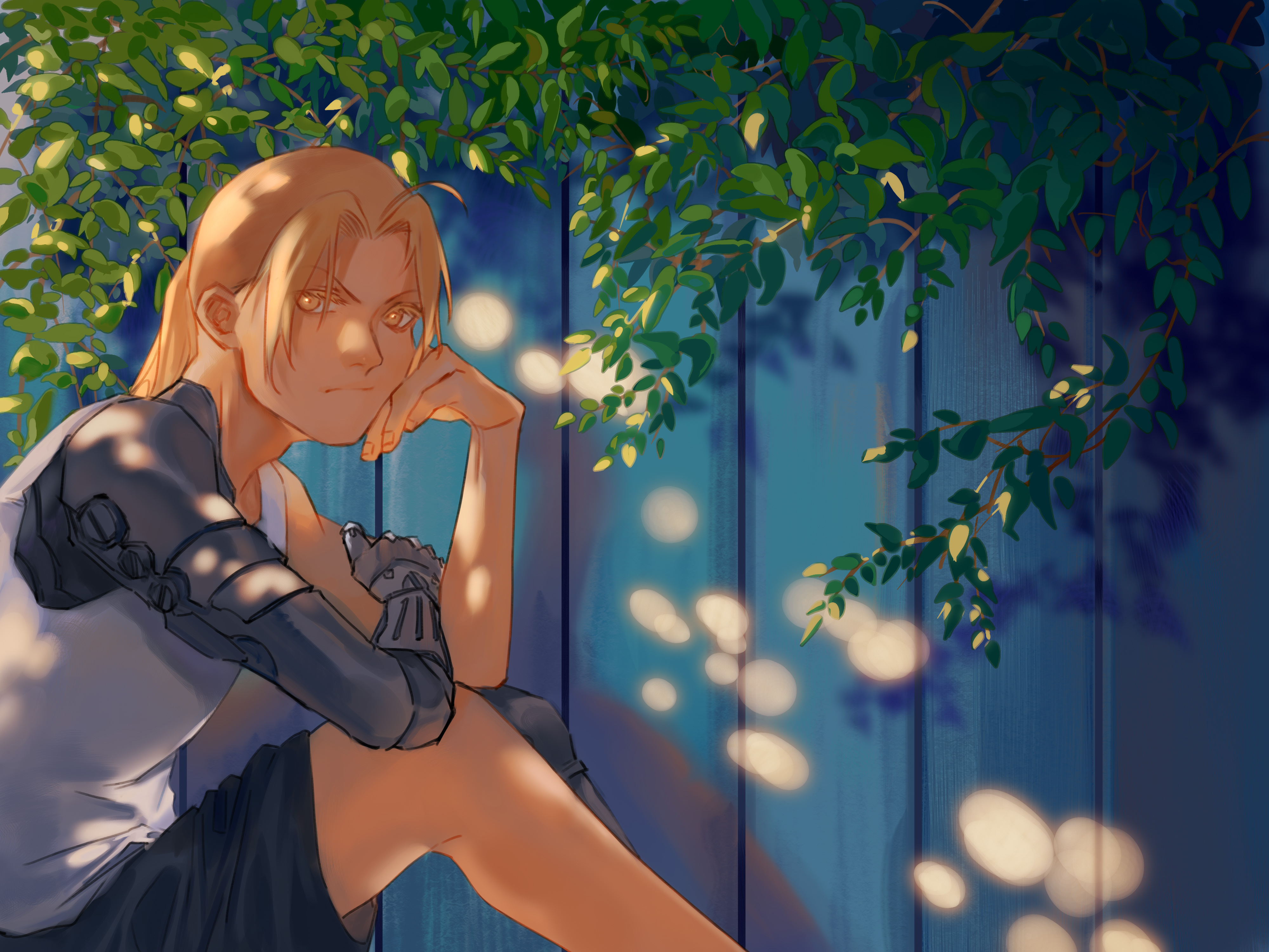 Edward Elric Alchemist