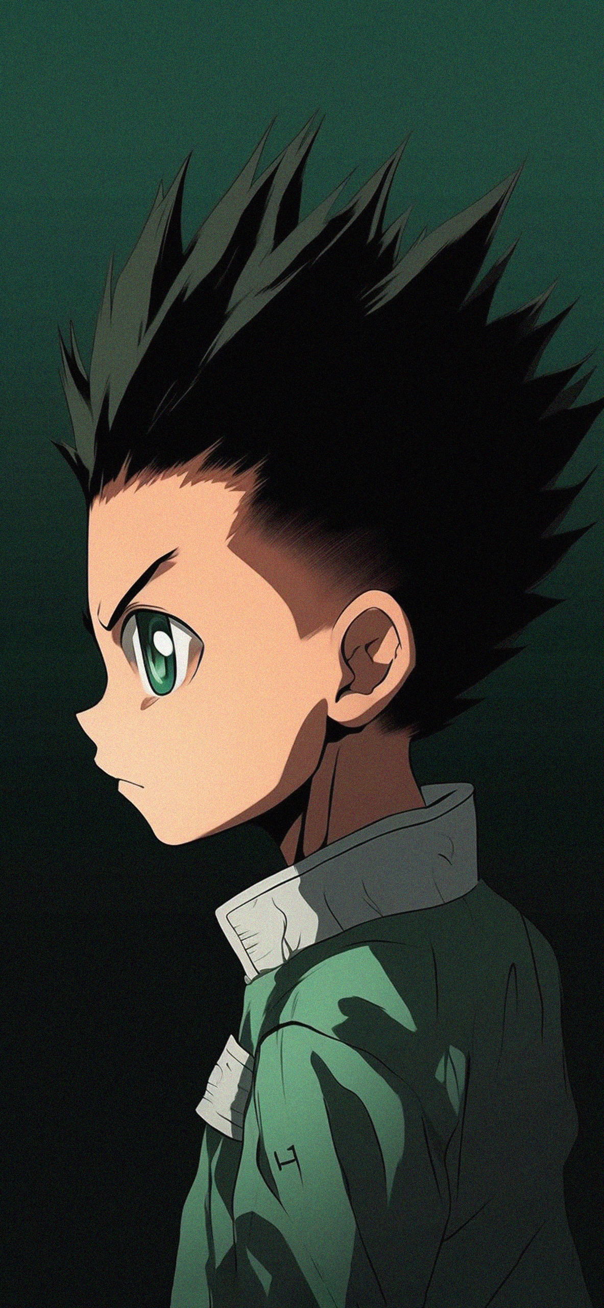 Hunter x Hunter Gon Freecss Green