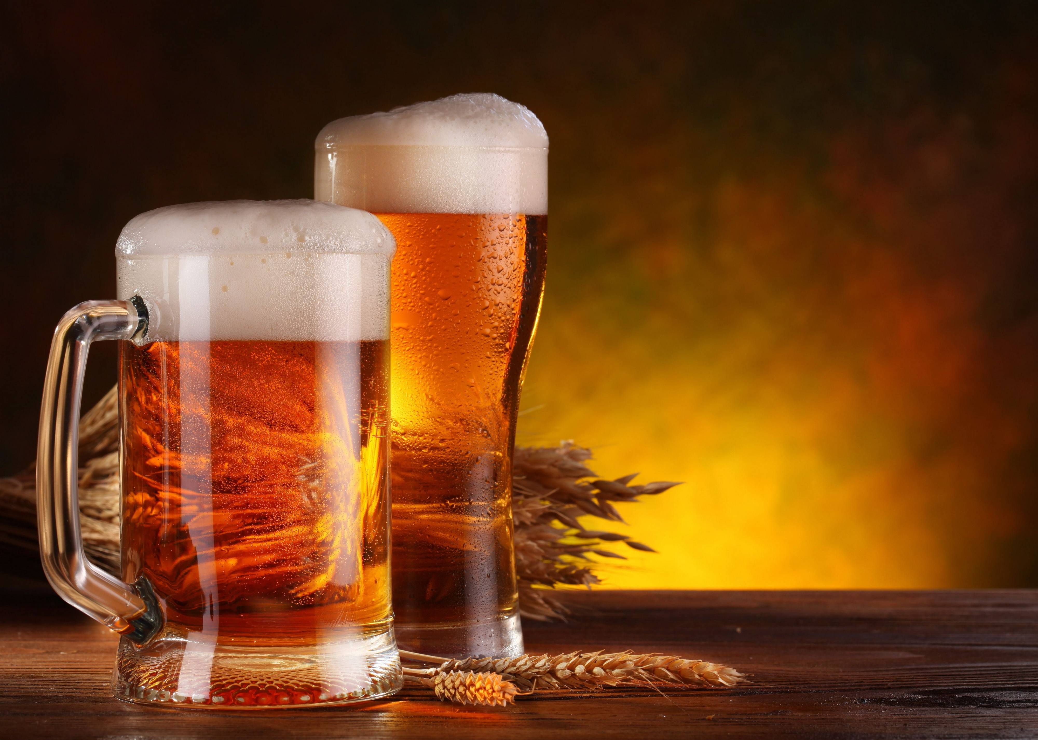 Beer HD Wallpaper Free Download
