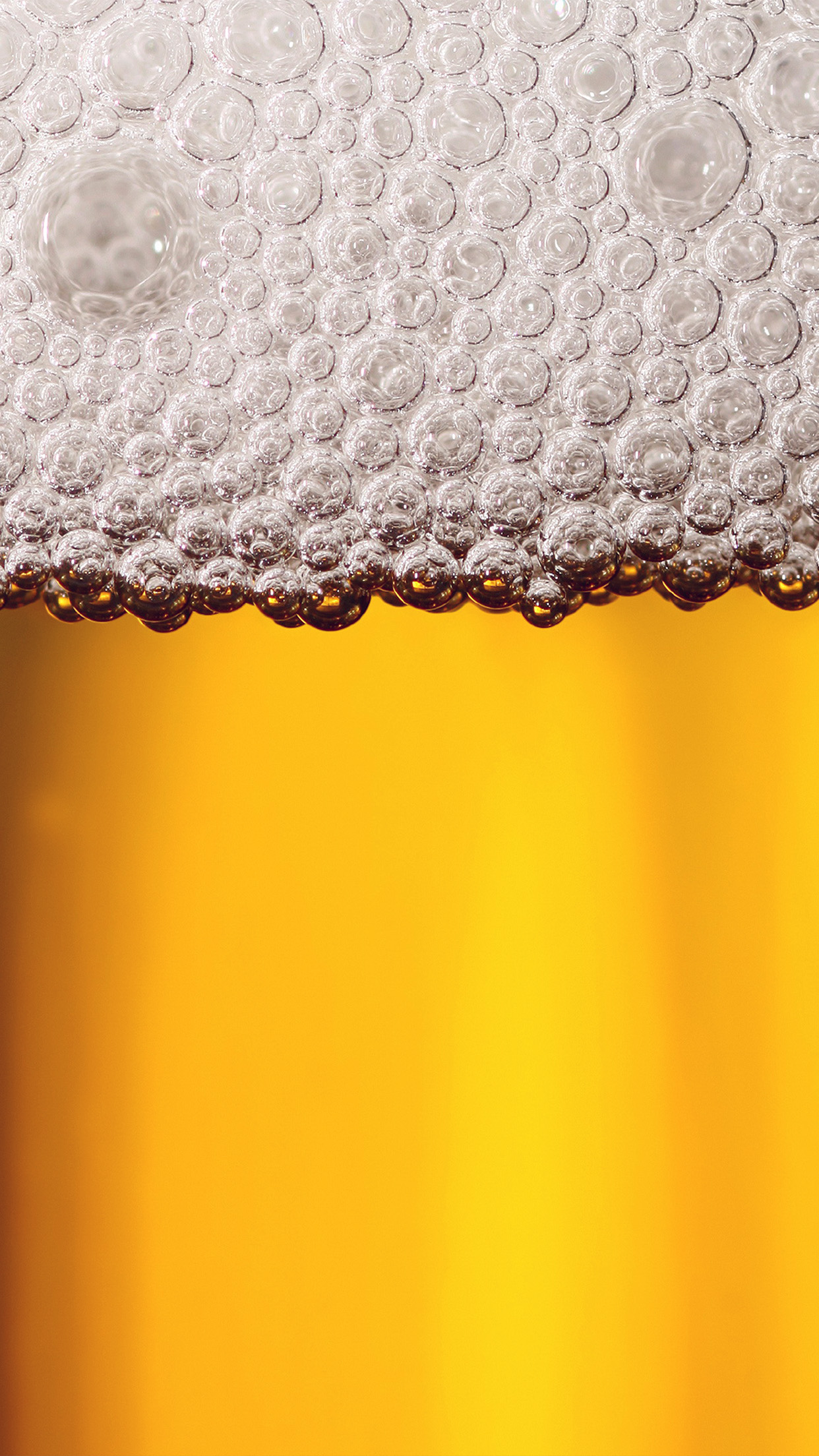 Beer Closeup Drink Party Yellow