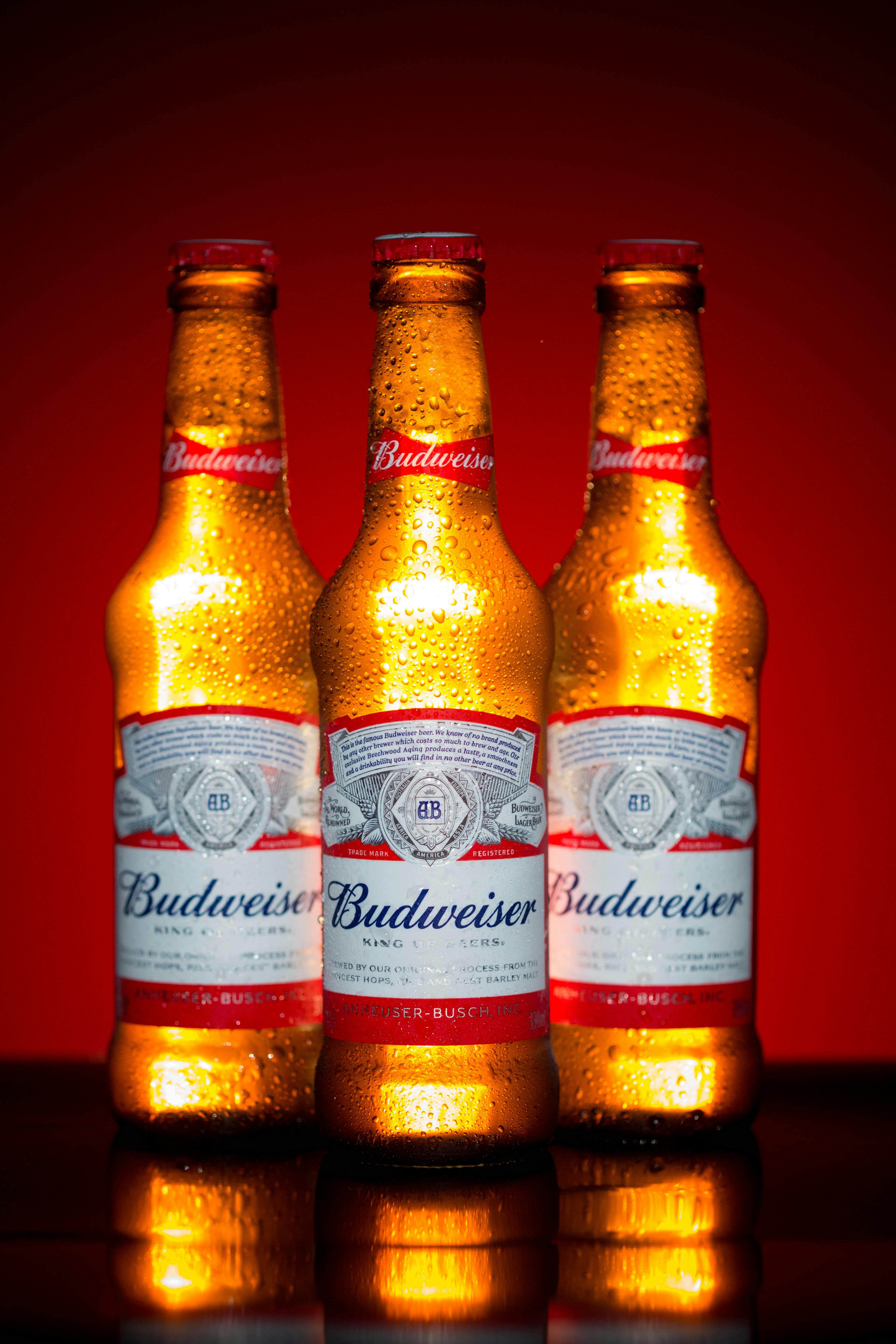 Beer Bottles on Red Background · Free