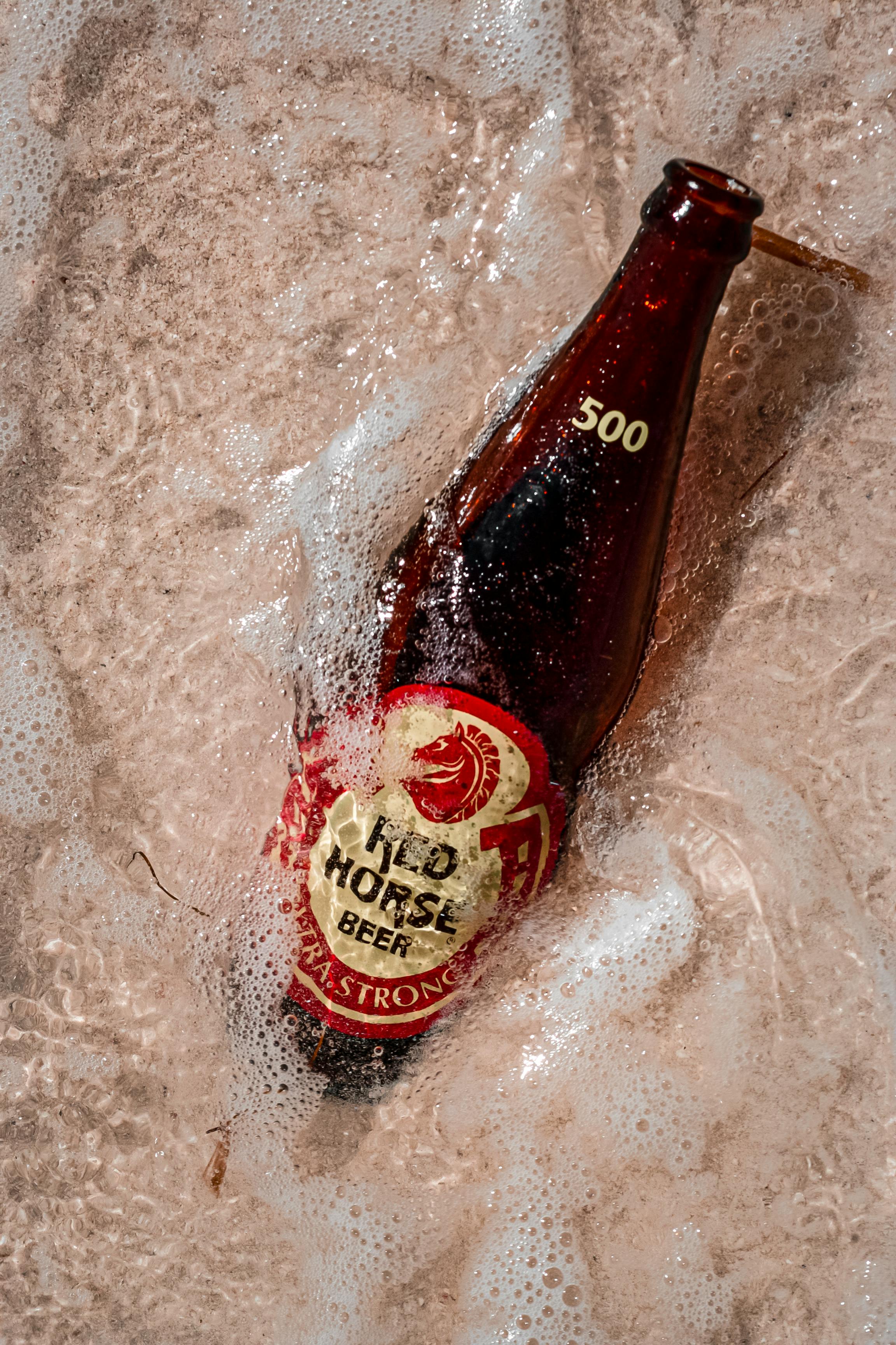 A Bottle of Red Horse Beer on the Shore