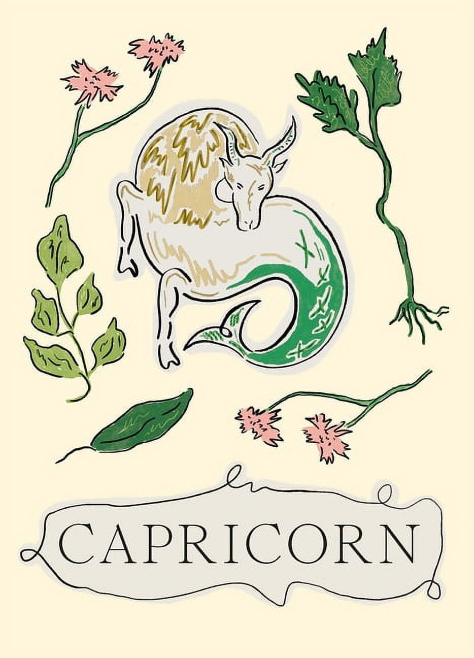 Planet Zodiac Capricorn, Book 4
