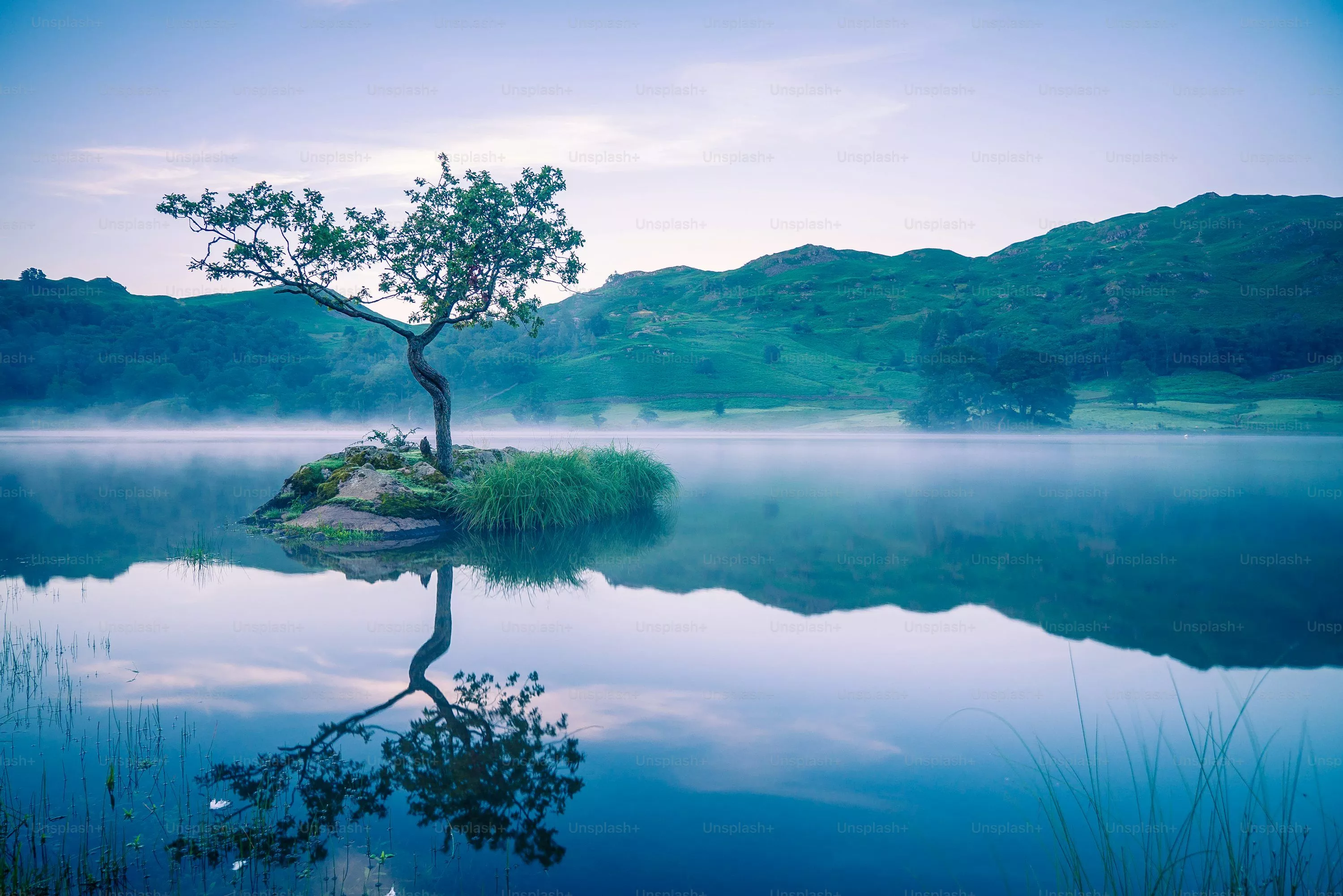 5K Imac Picture [HD]. Download