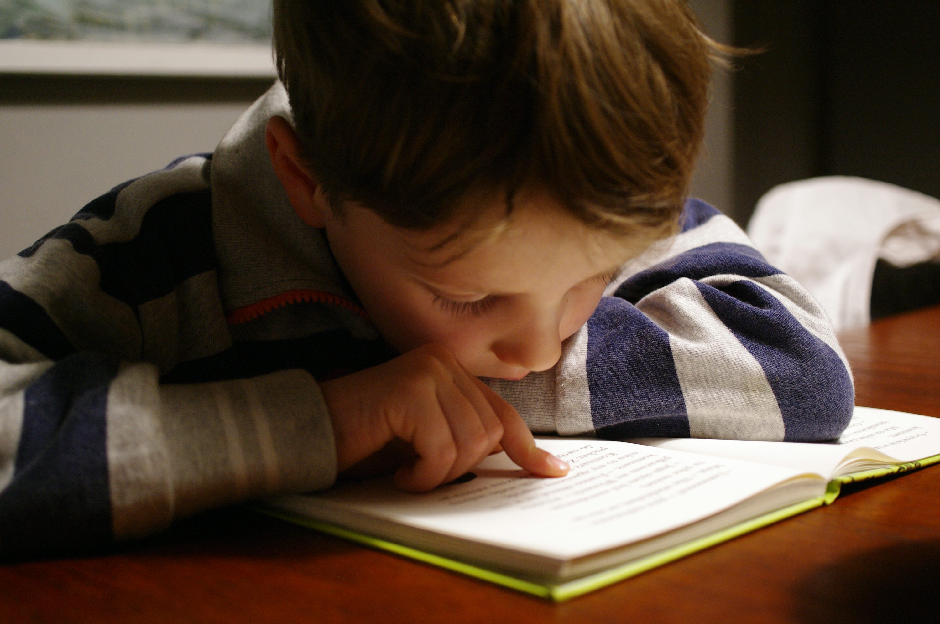 30,Boy Reading Picture. Download