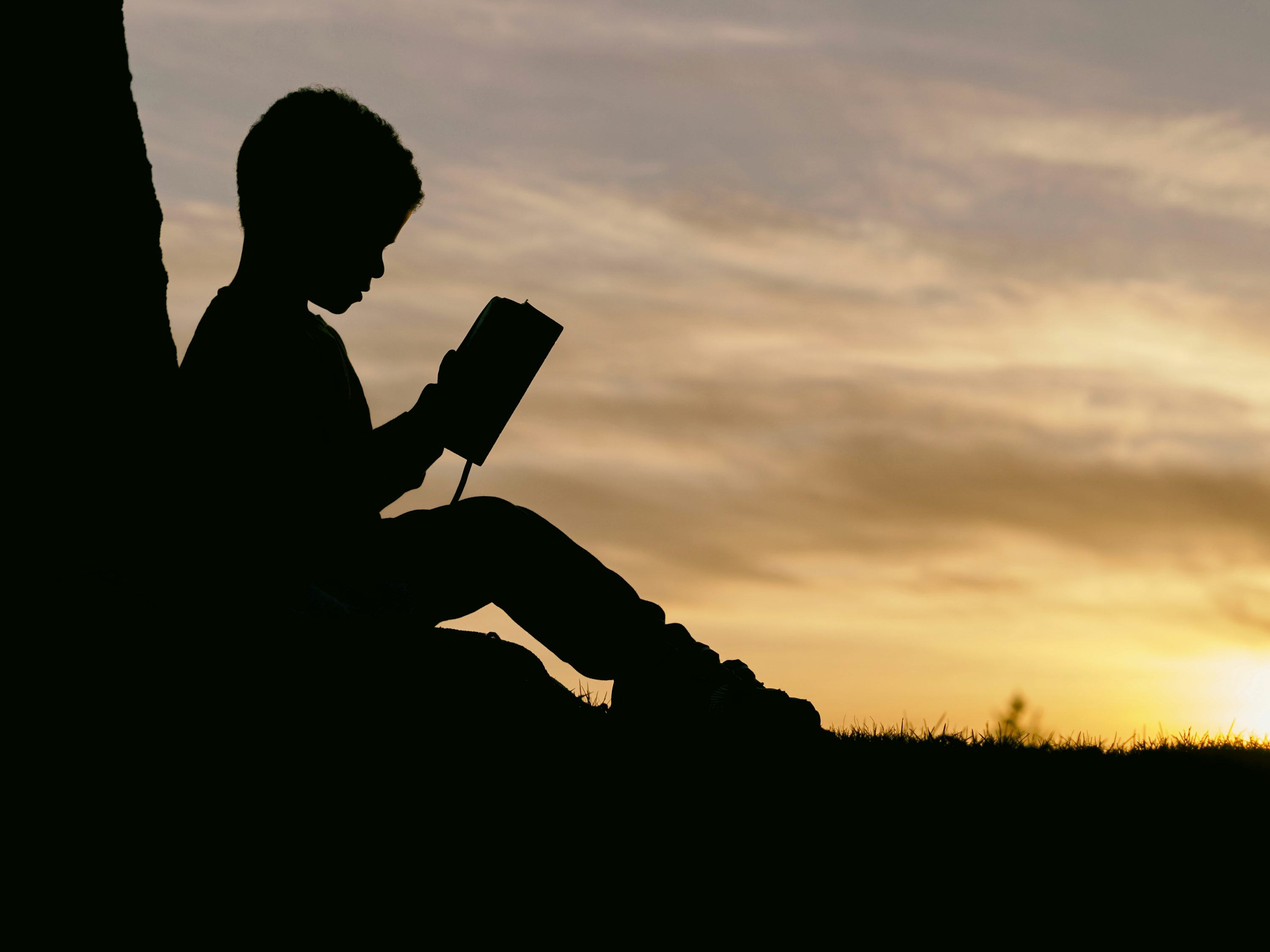 30,Boy Reading Picture. Download
