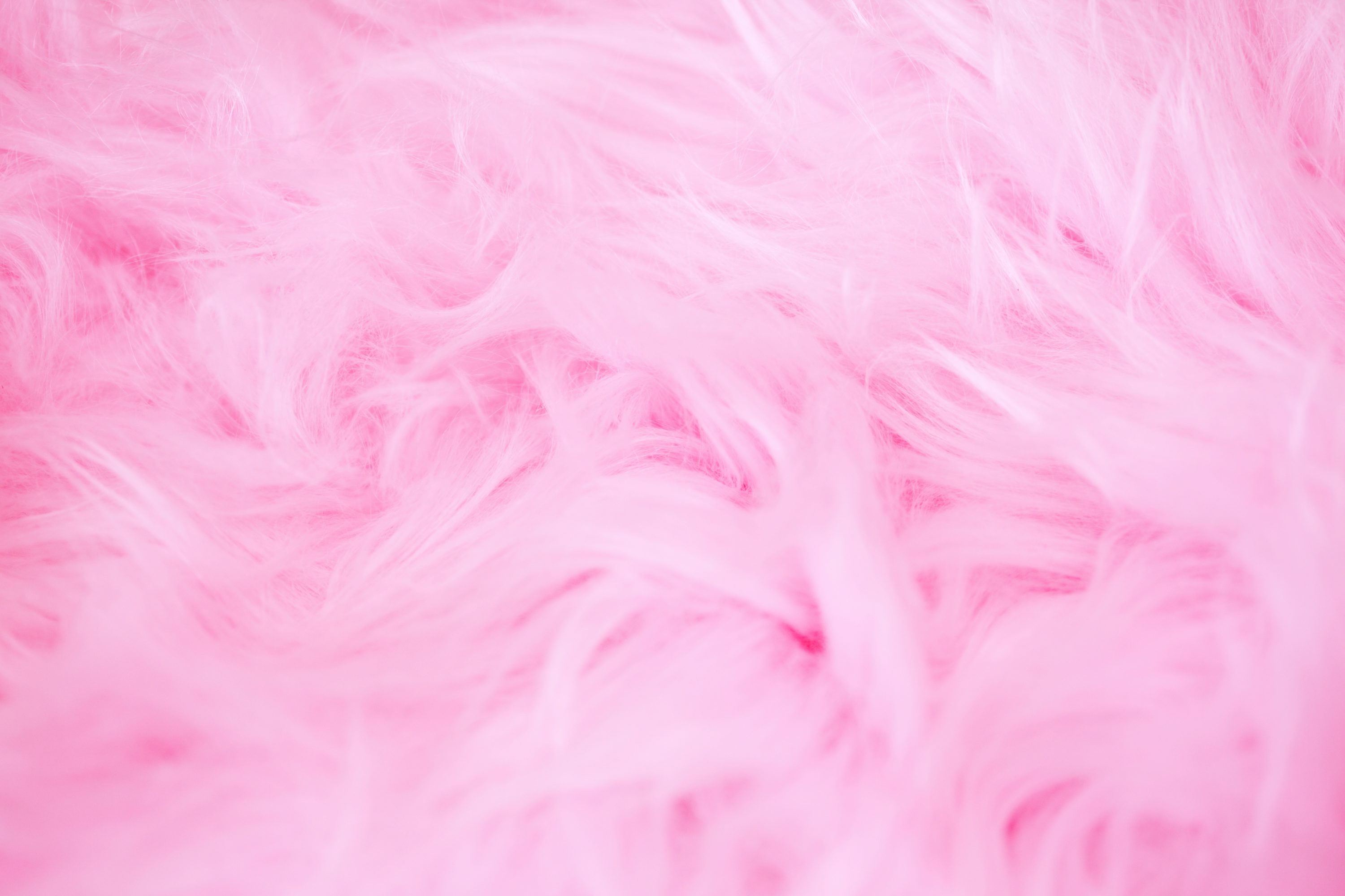 Pink Wallpaper: Free HD Download
