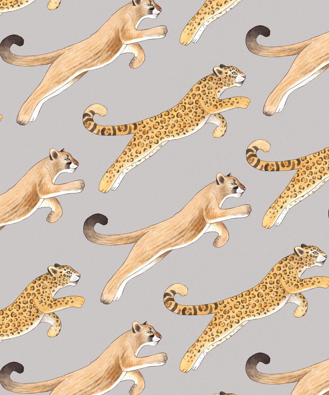 Amazon Big Cat Wallpaper • Jaguars