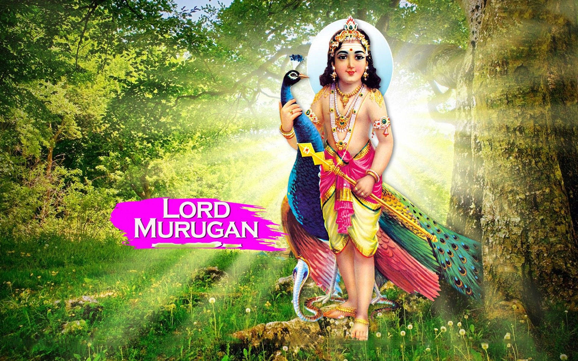 Lord Murugan 4k Wallpaper