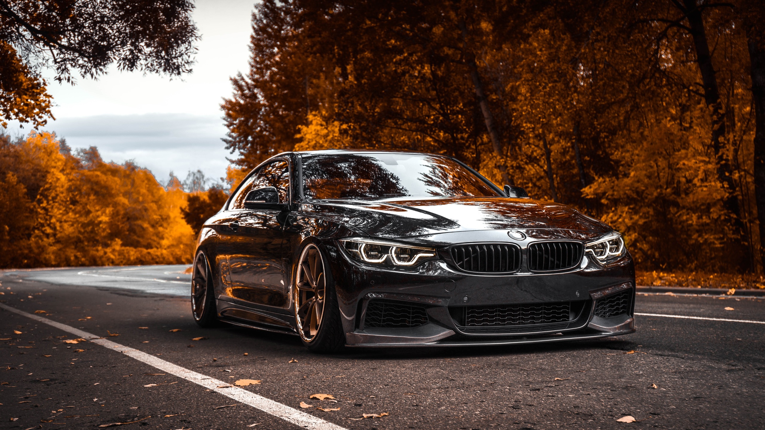BMW Tuning 4 Series Black Metallic