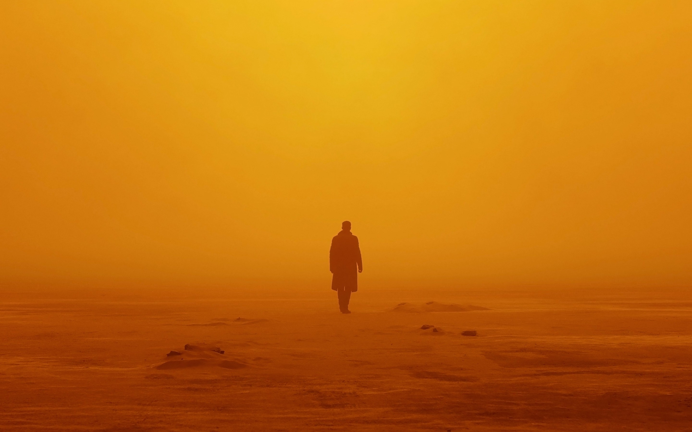 Blade Runner 2049 Wallpaper