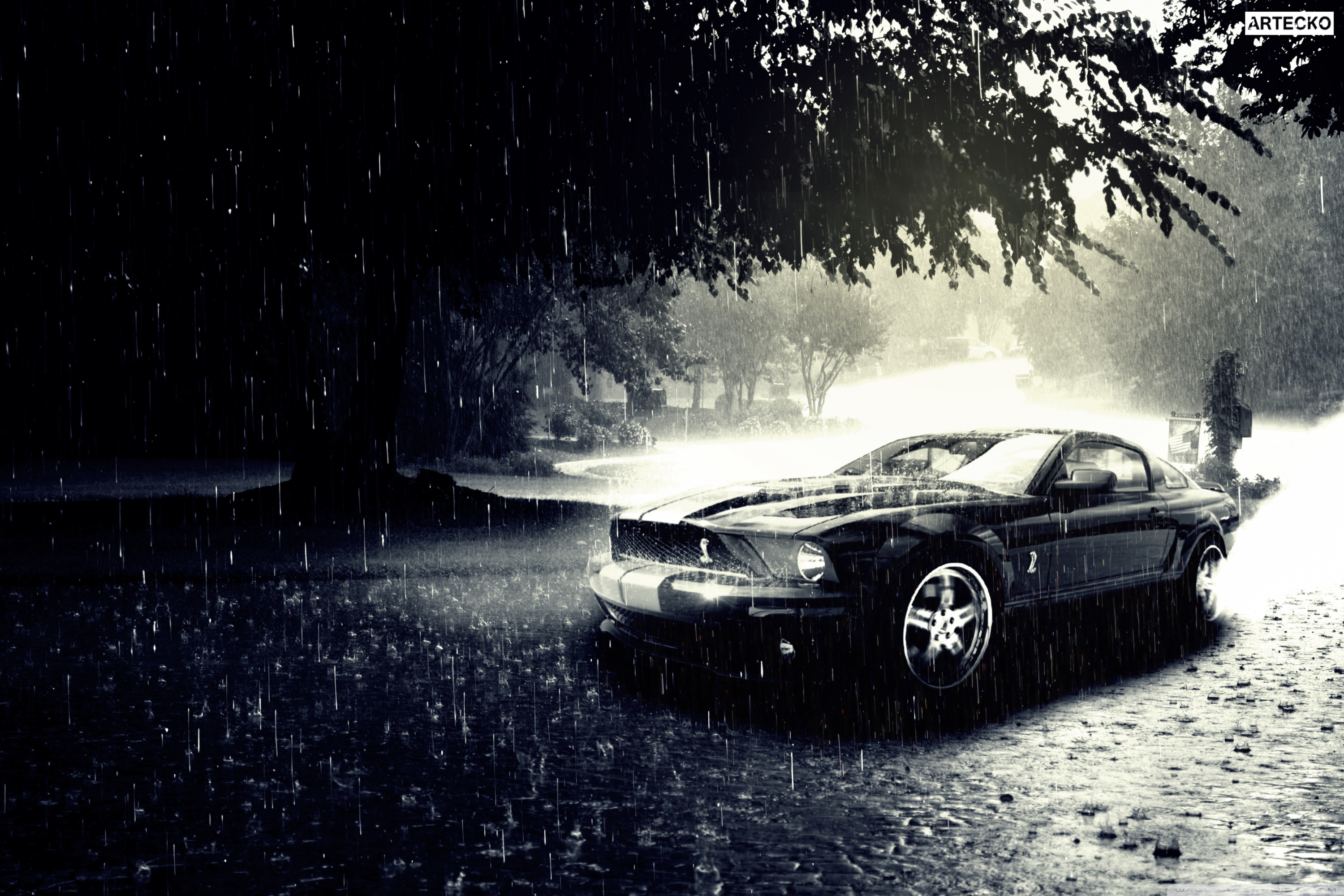 Ford Mustang Ultra HD Wallpaper for 4K