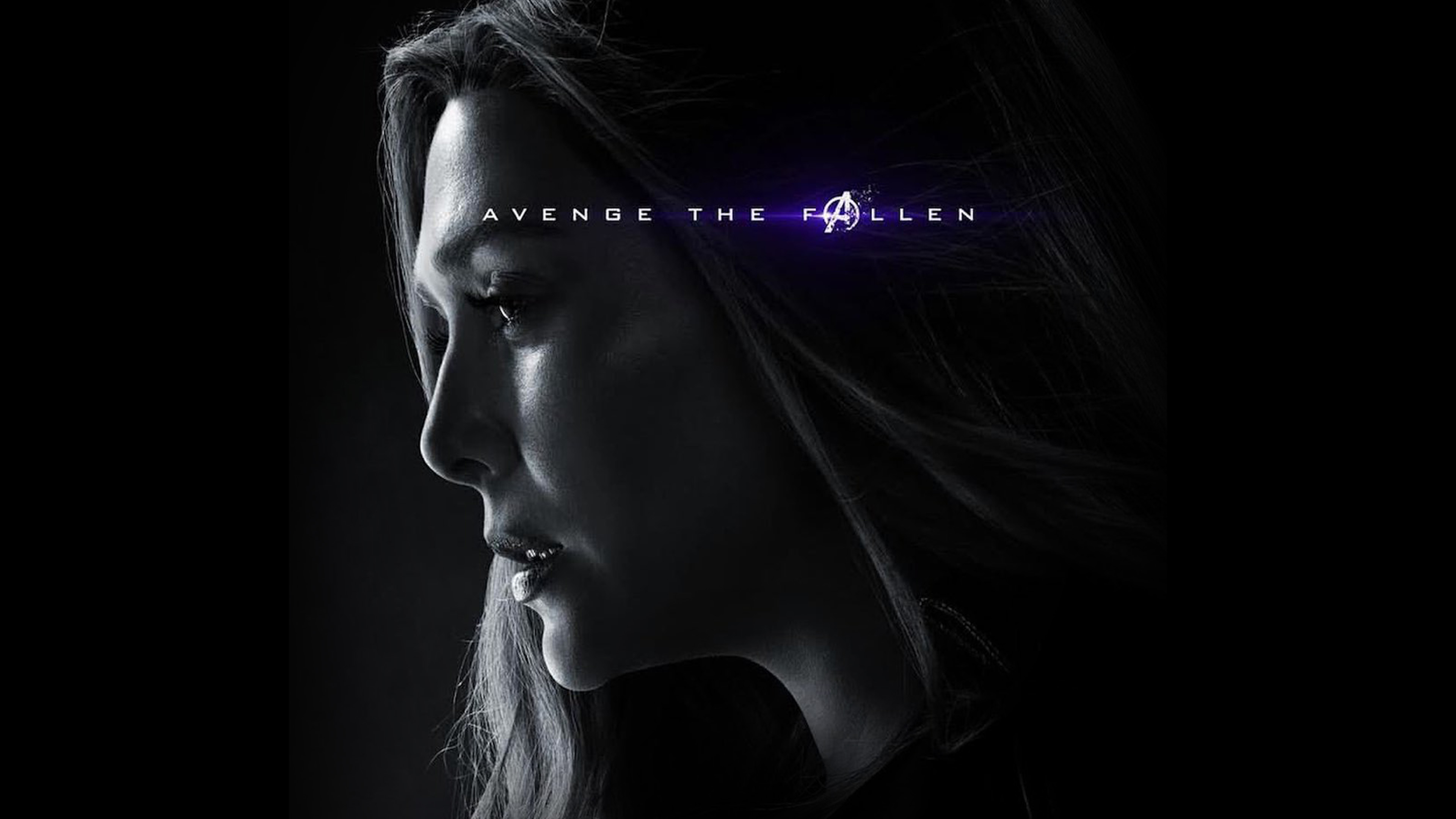 Avengers Engame Hero Marvel Poster