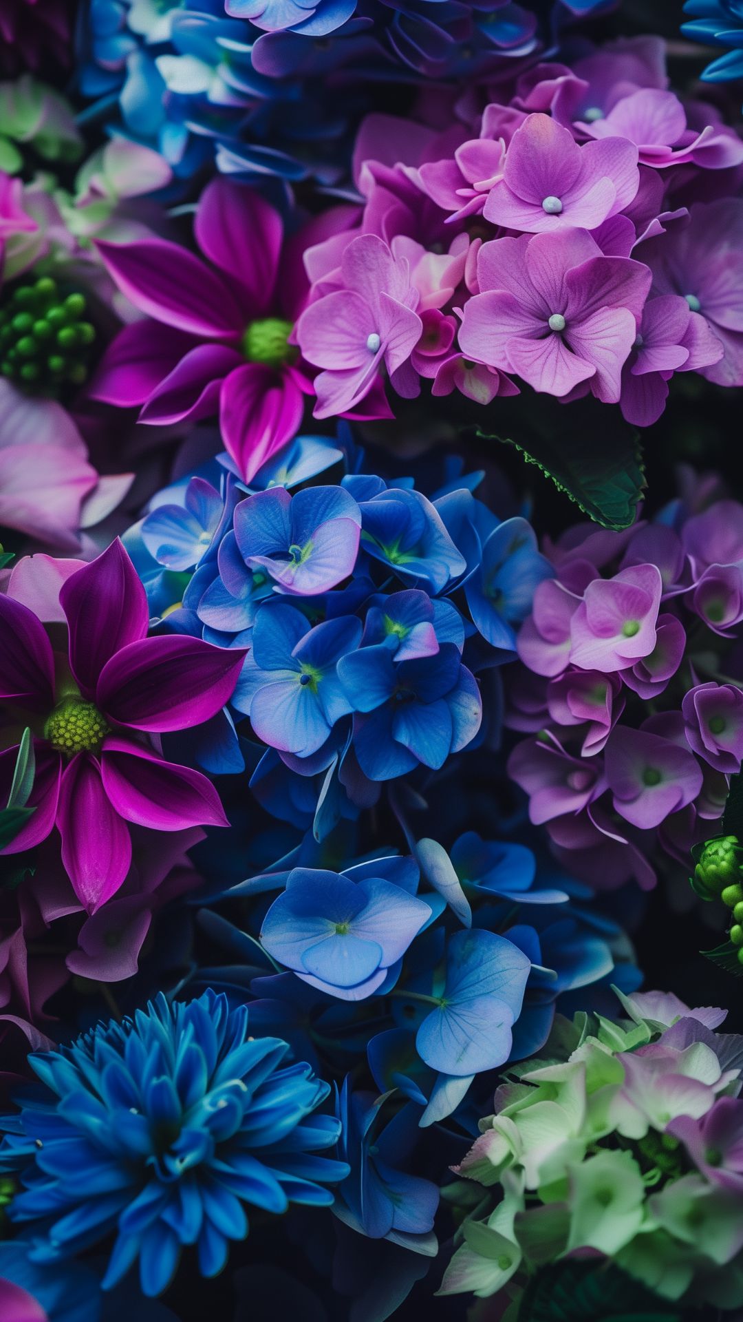 Give Your Screen a Spring Makeover