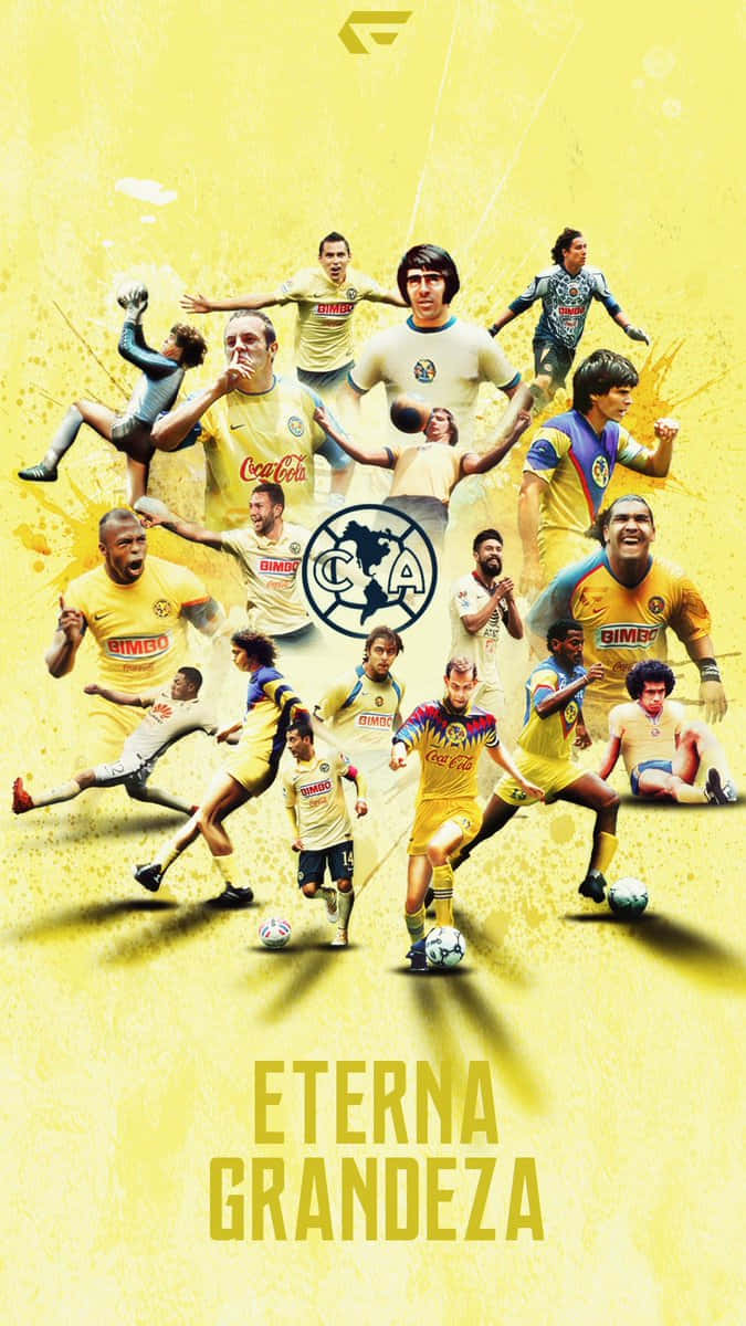 Forever champions! Wallpaper