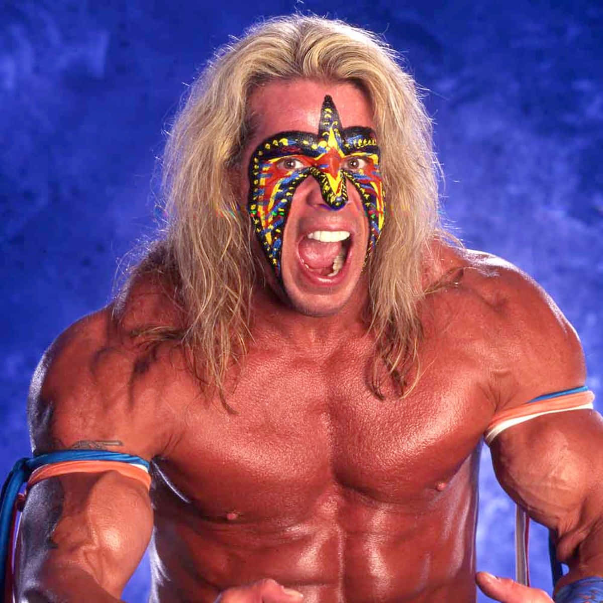 Download American Wwe Wrestler Ultimate