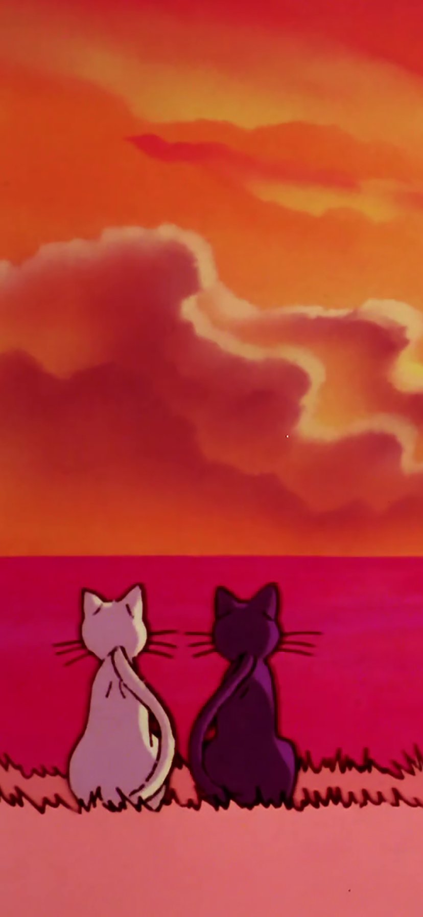 Sailor Moon Supporting Character