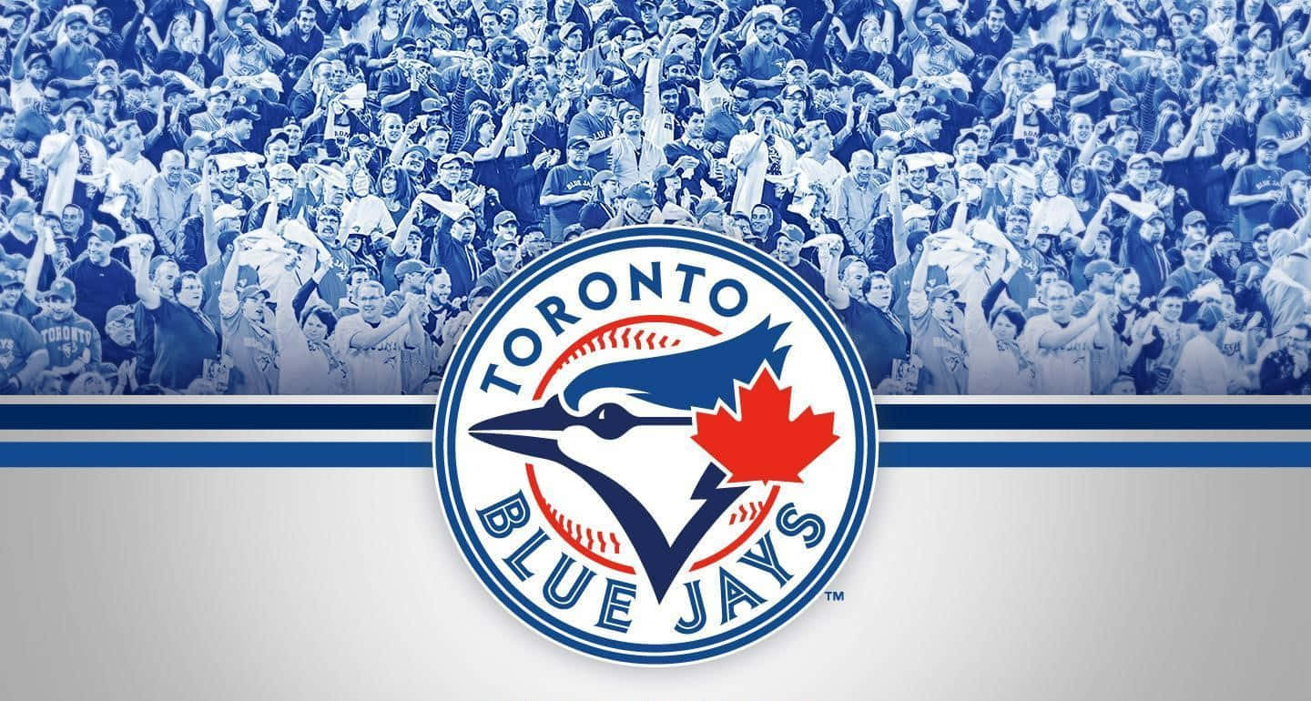Blue Jays. Wallpaper