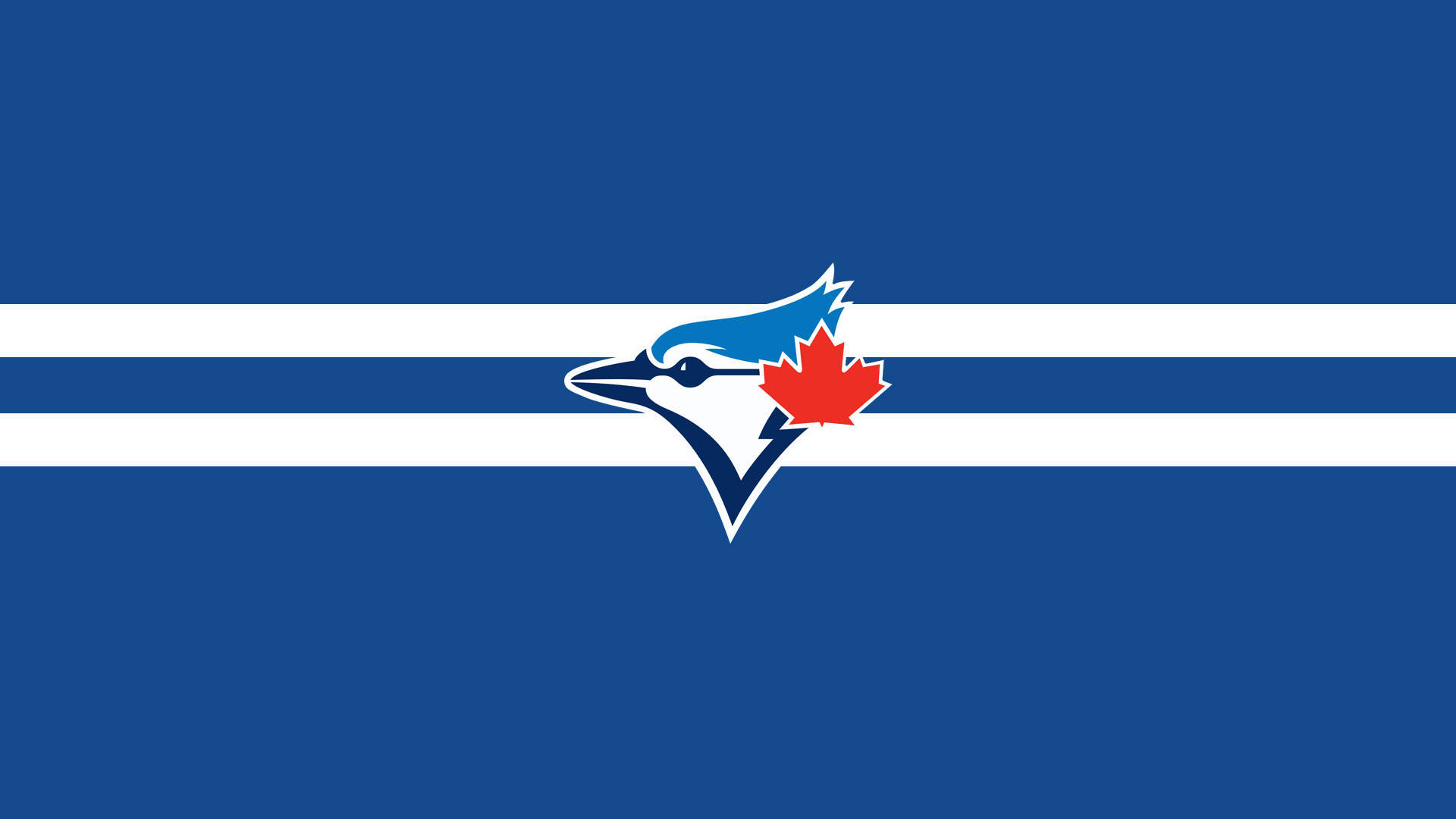 Simple Clean Toronto Blue Jays