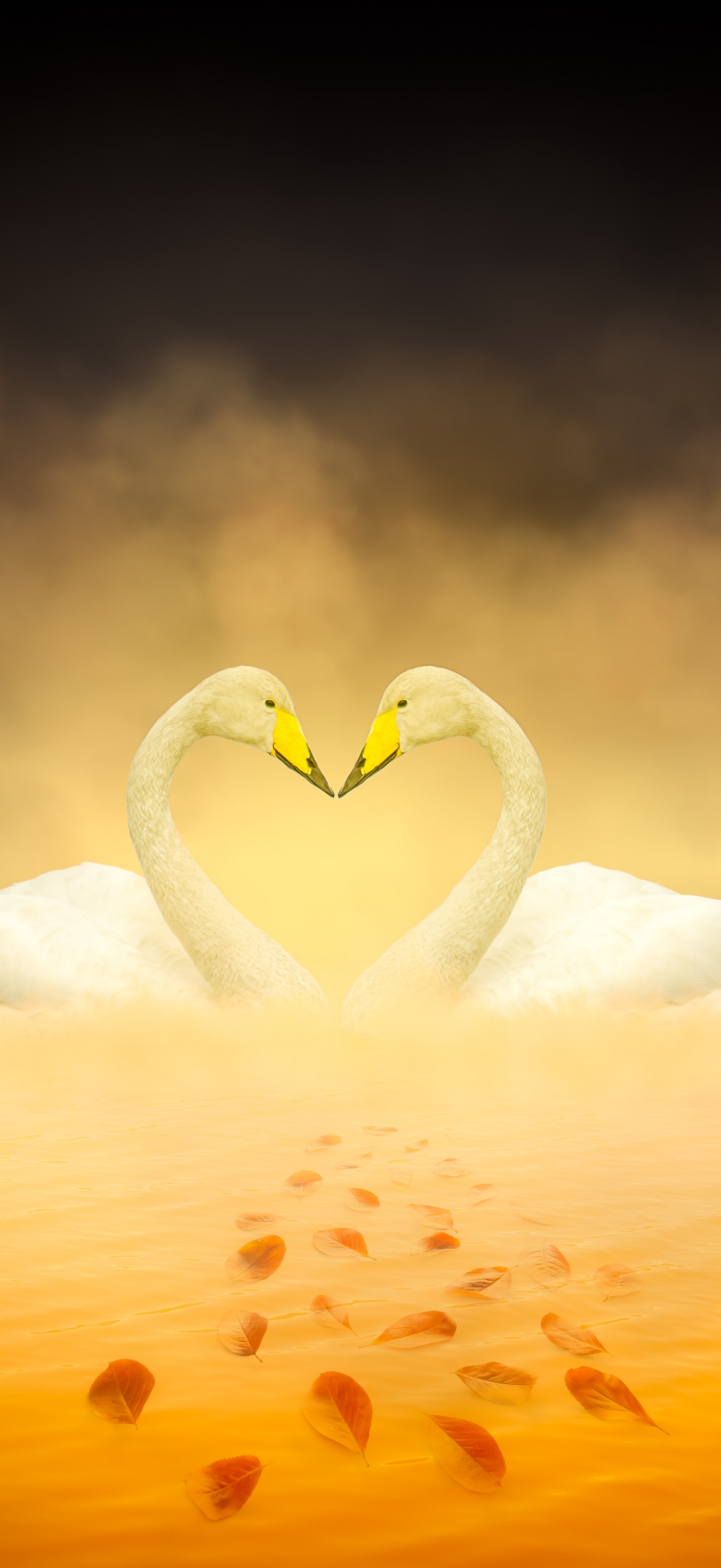 White Swan Wallpaper 4K, Love Birds