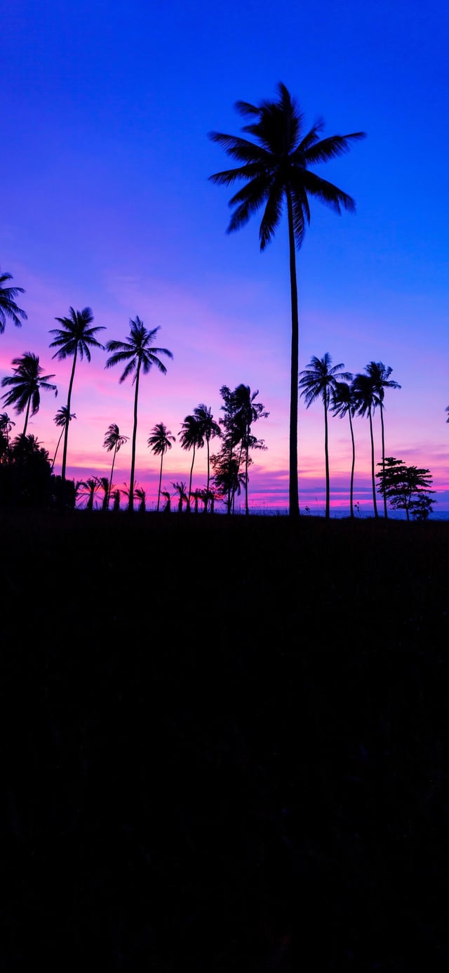 Collection of OLED wallpaper I use