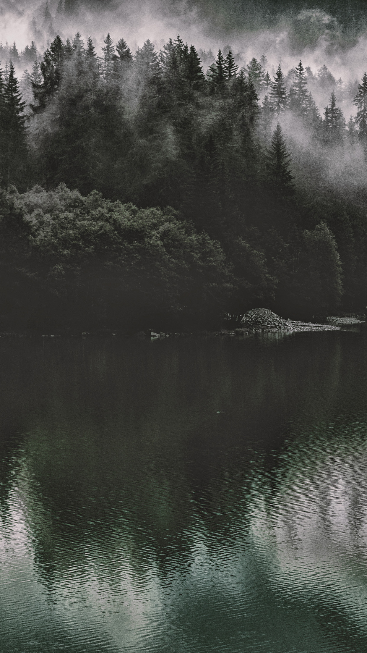 Dark Nature 4k iPhone Wallpapers - Wallpaper Cave