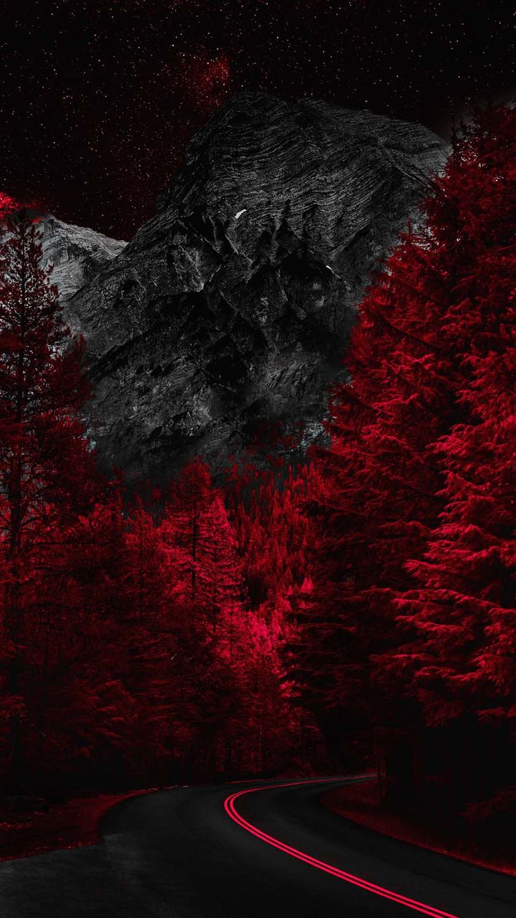 Dark Nature 4k iPhone Wallpapers - Wallpaper Cave