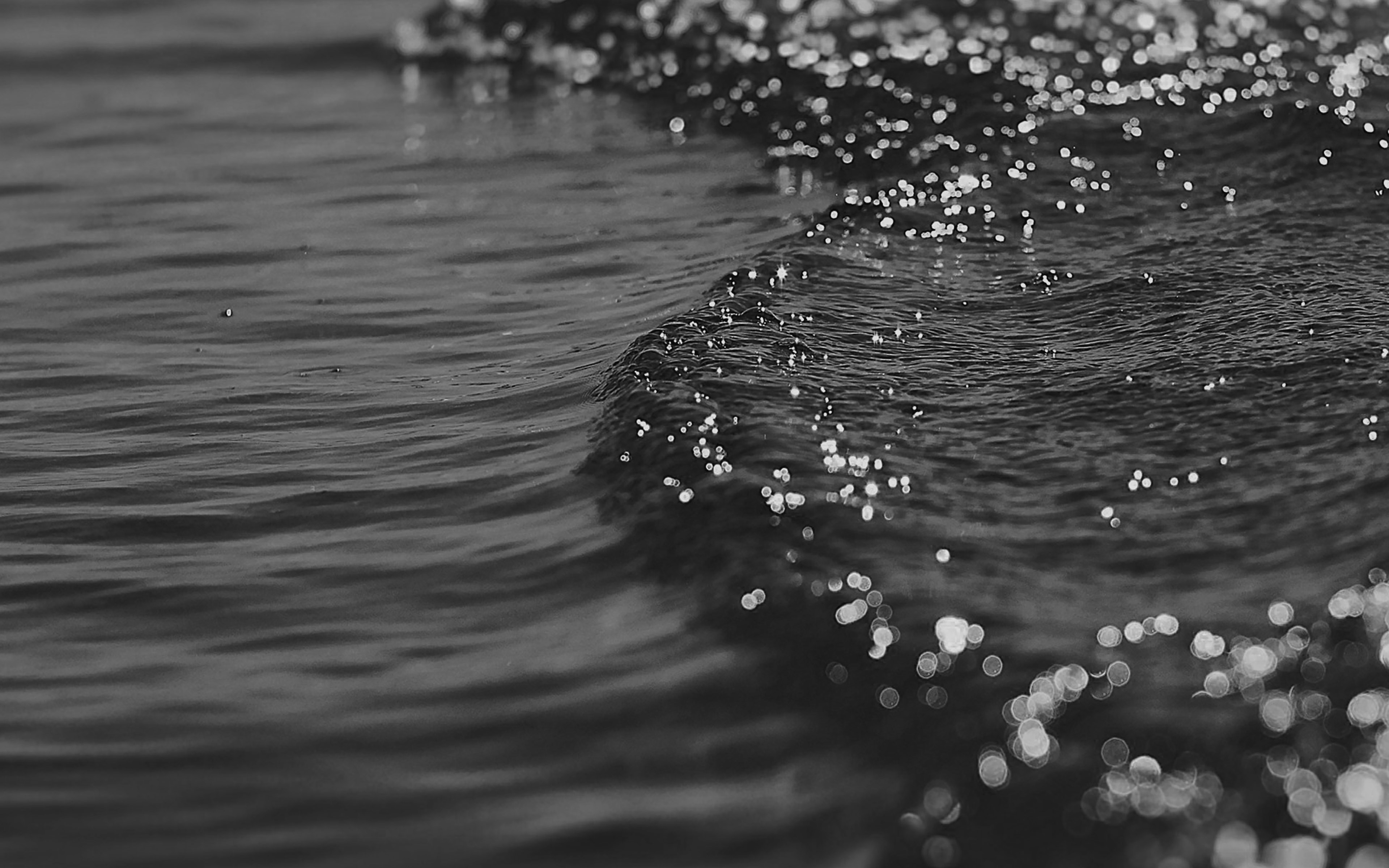 Gold Sea Beach Black Sunset Ocean