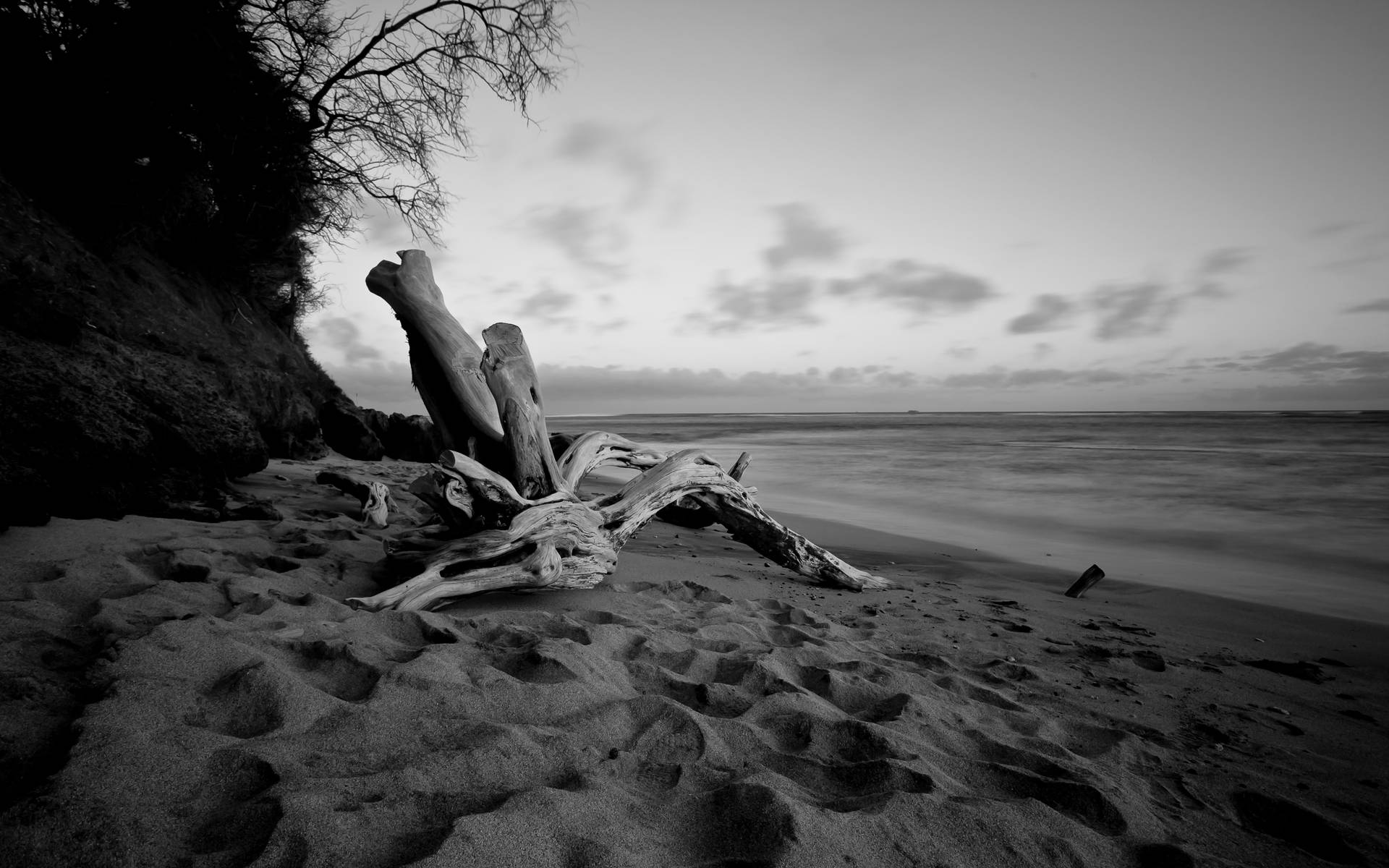 Download Black And White Beach Desktop Wallpaper