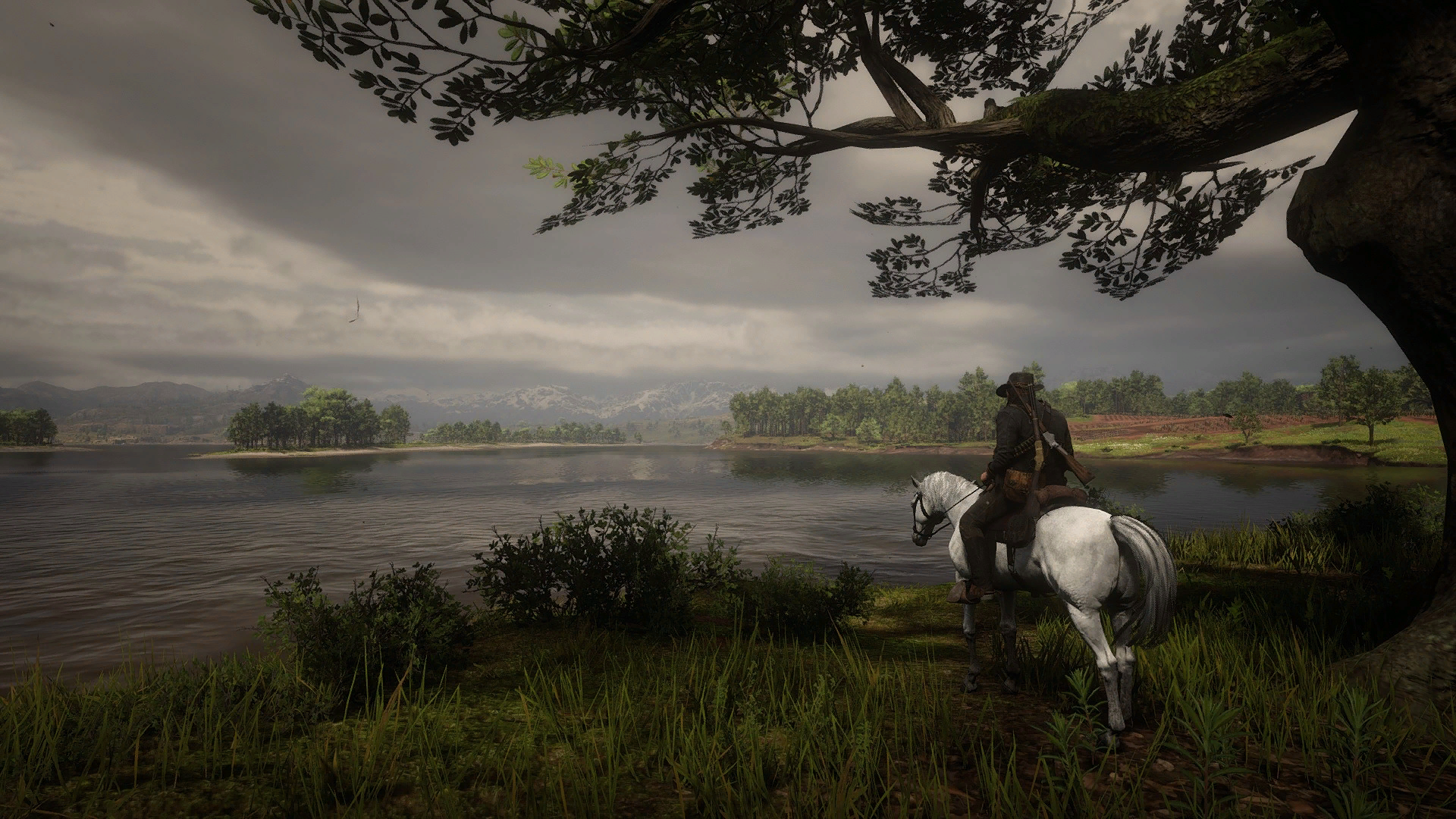 Red Dead Redemption 2 HD Wallpaper: Serene Wilderness Ride