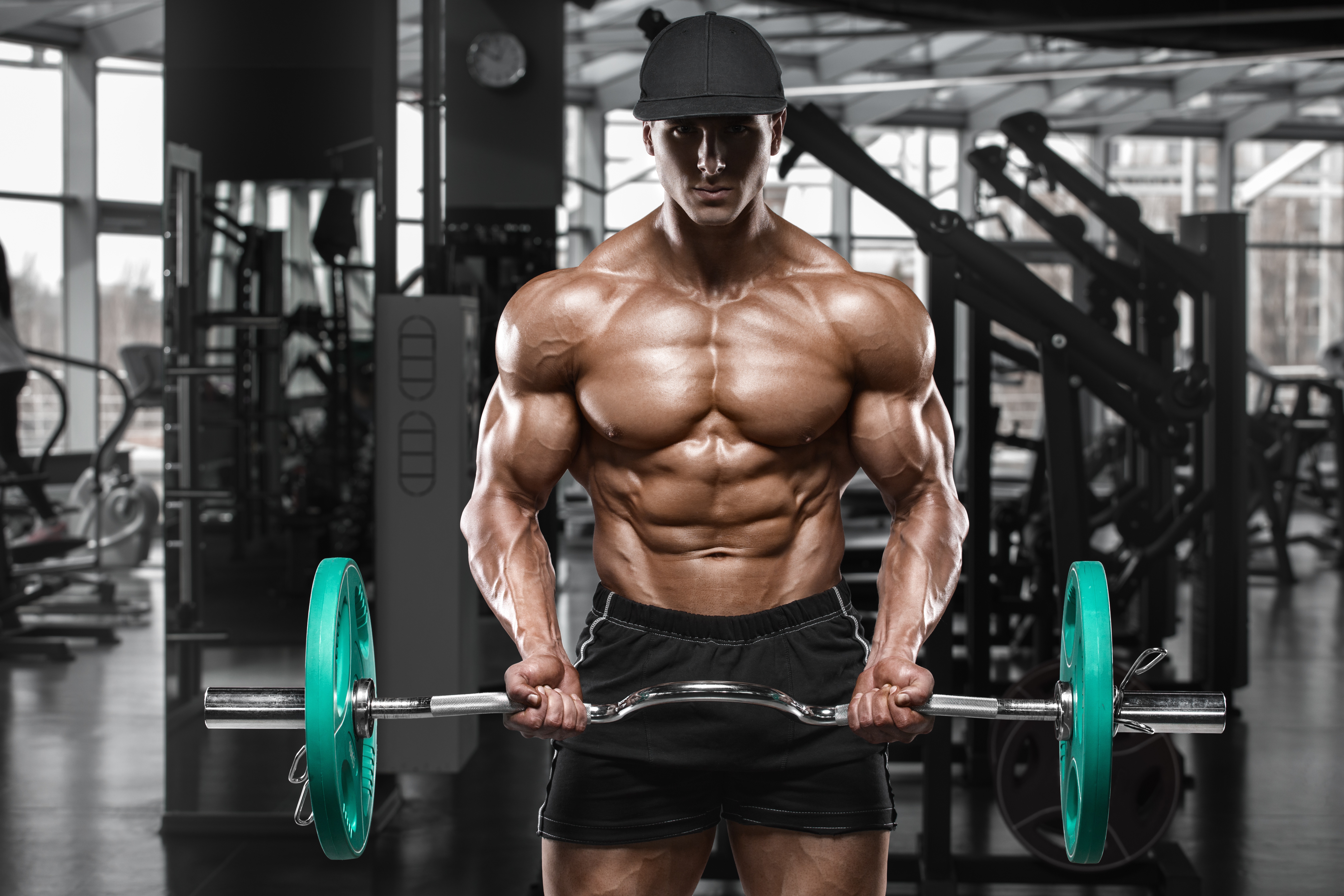 Download Bodybuilding Muscle Gym