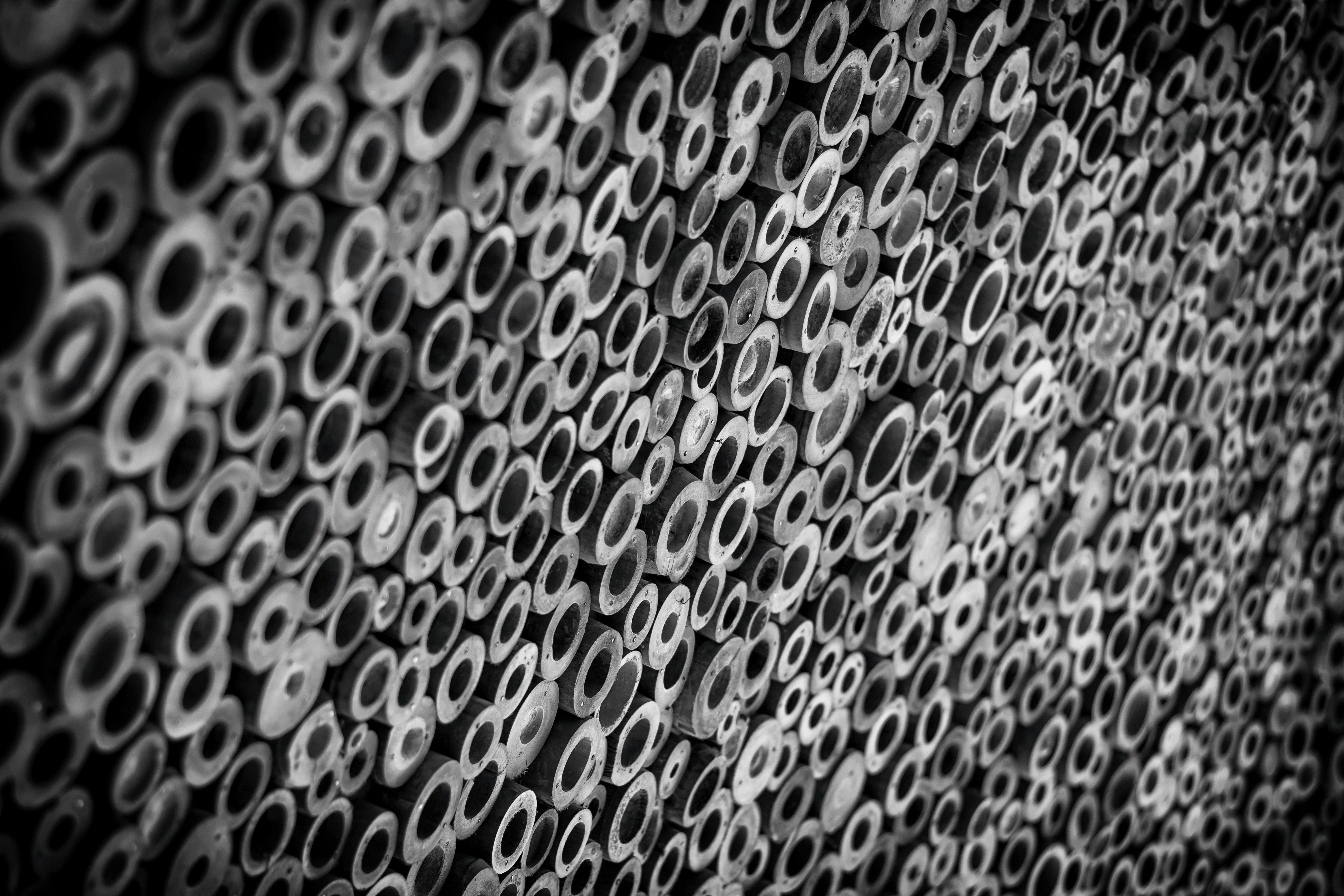 Free Image, abstract, black and white