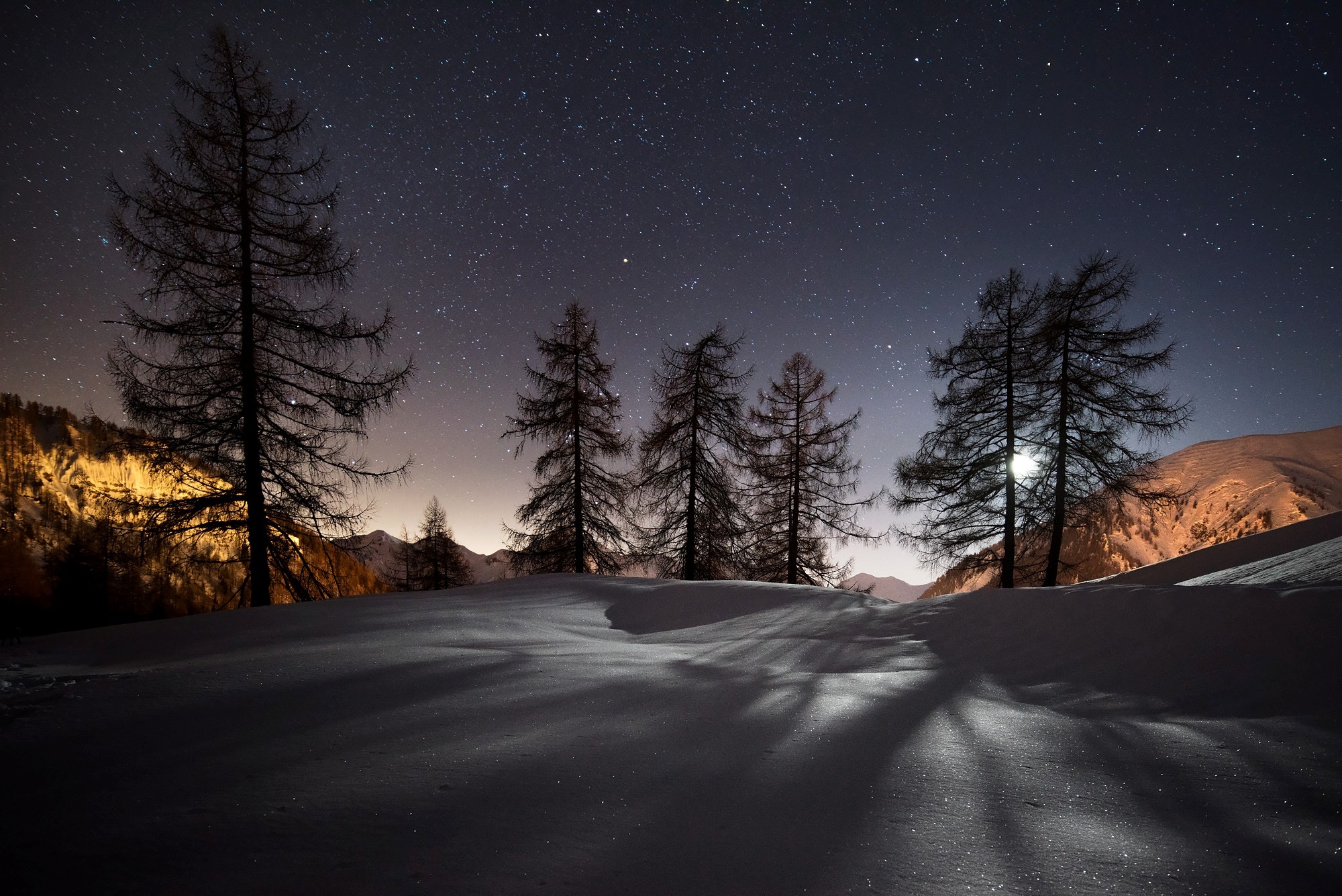 Wallpaper winter, stars, snow, trees