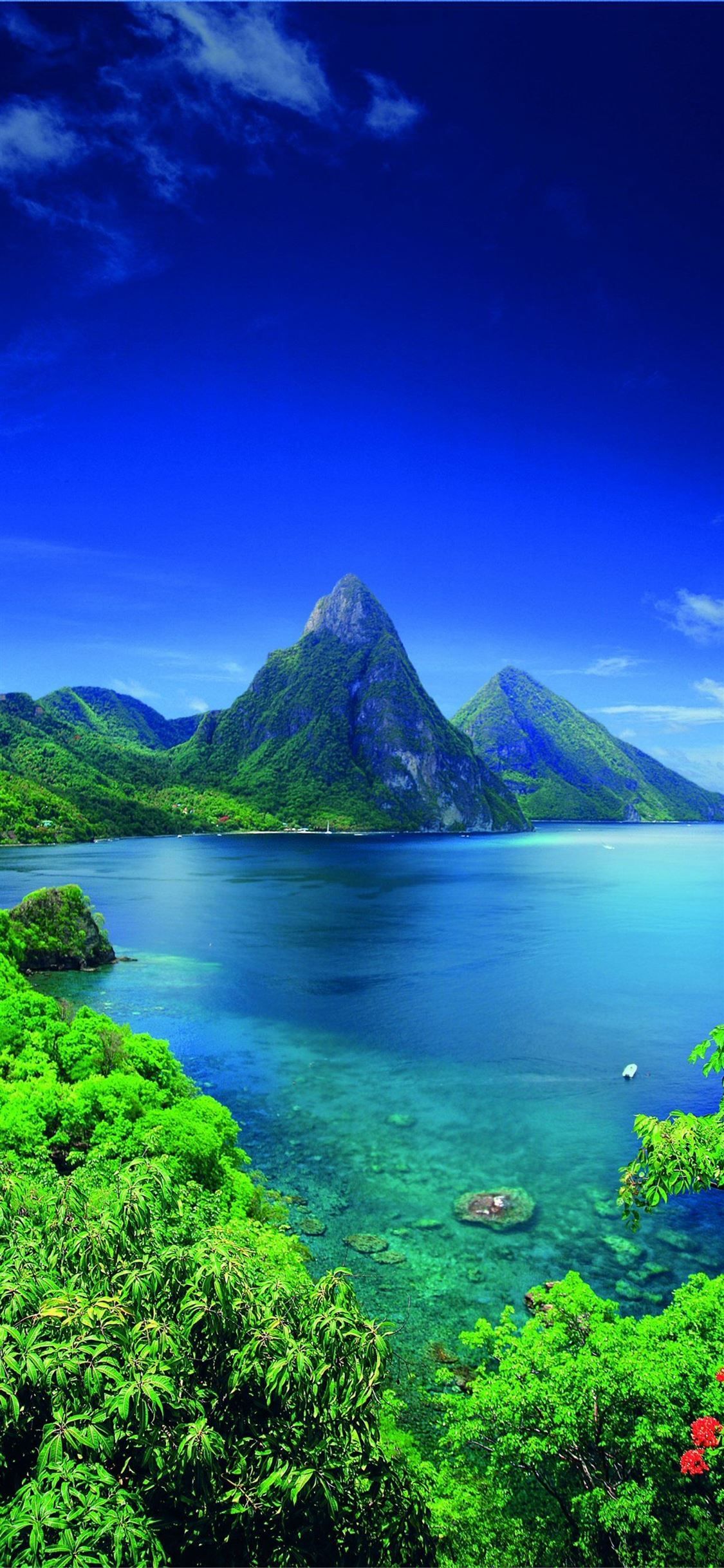 The Piton volcanoes Saint Lucia
