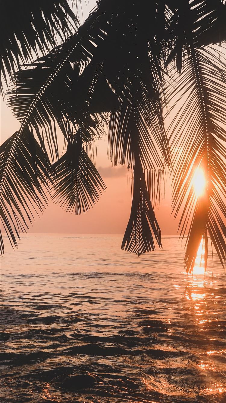 water during sunset iPhone Wallpaper